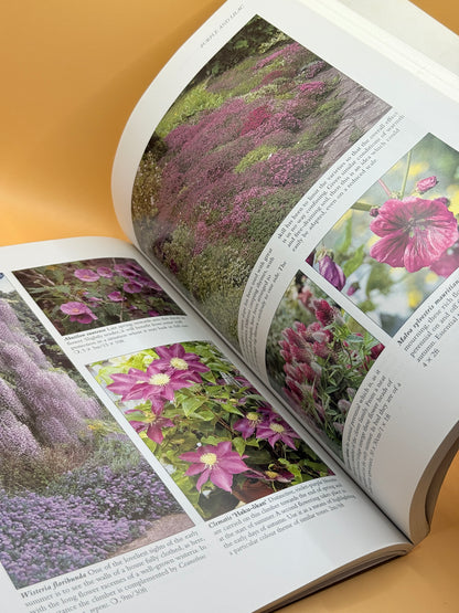 Gardening with Colour by Lance Hattatt