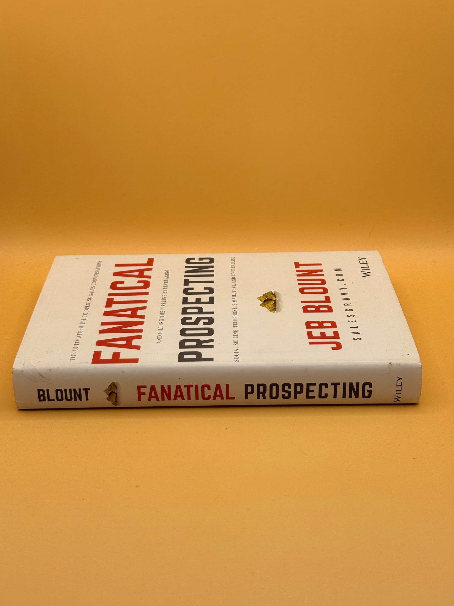 Fanatical Prospecting by Jeb Blount