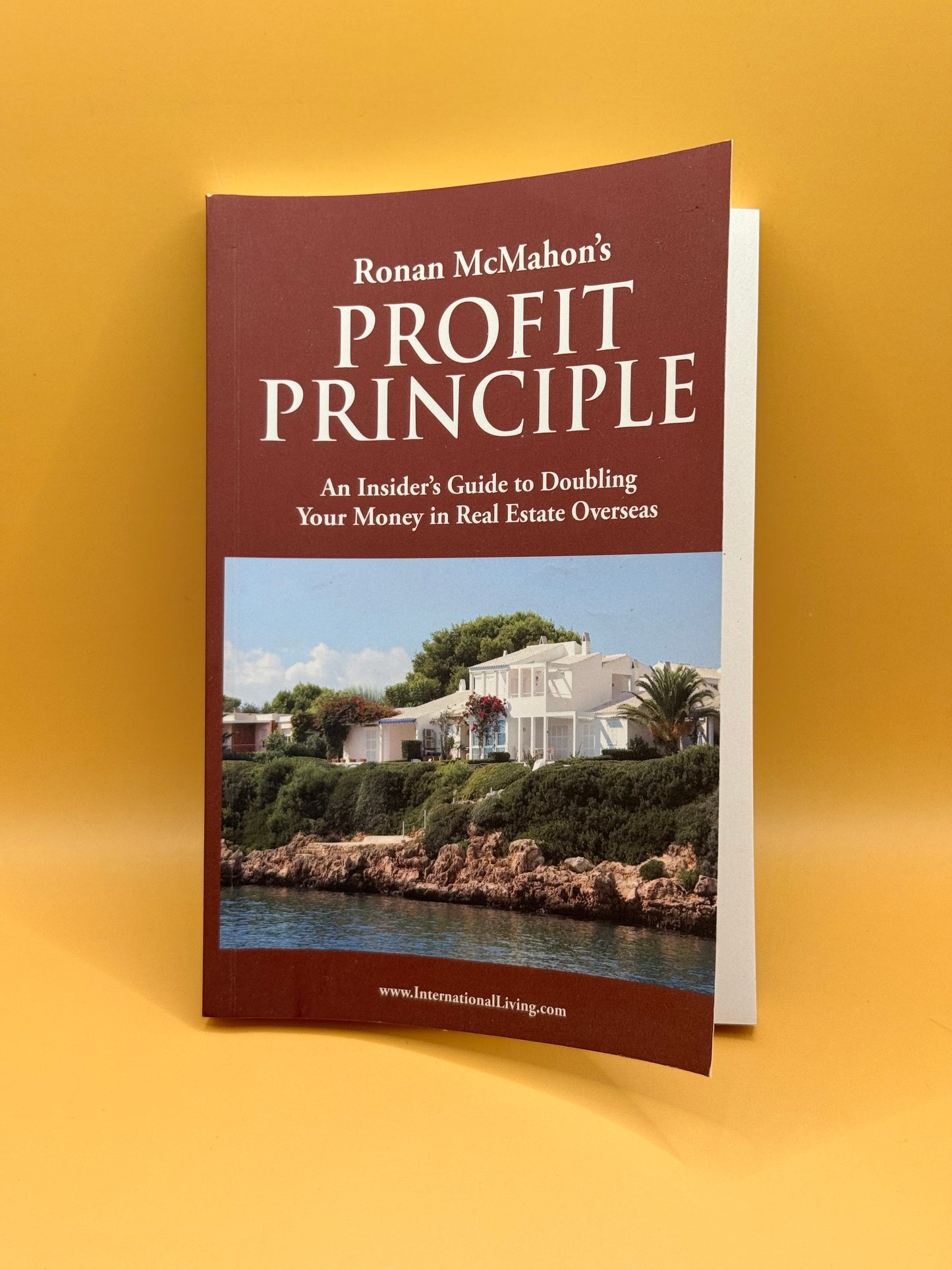 The Profit Principle by Peter Fritz and Jeanne-Vida Douglas