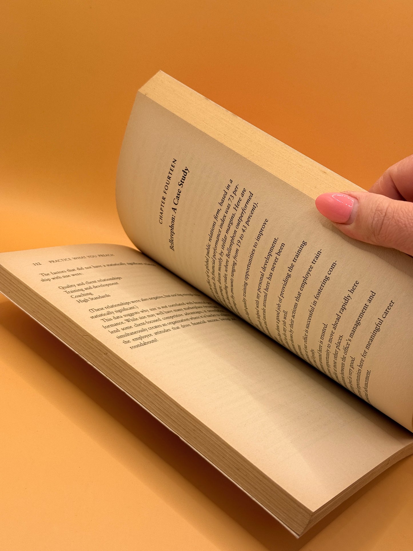 Practice What You Preach by David H. Maister