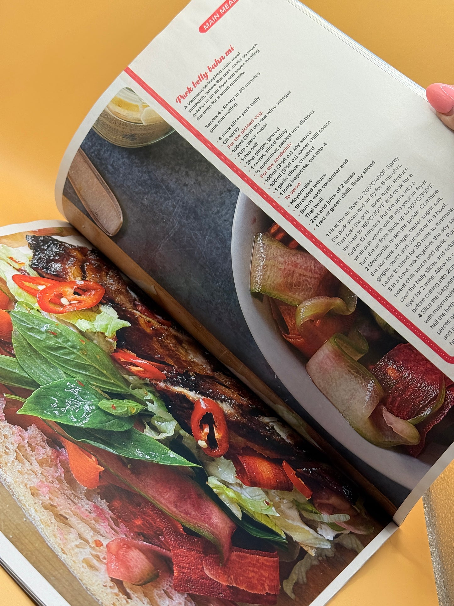 The Ultimate Air Fryer Cookbook by Woman & Home