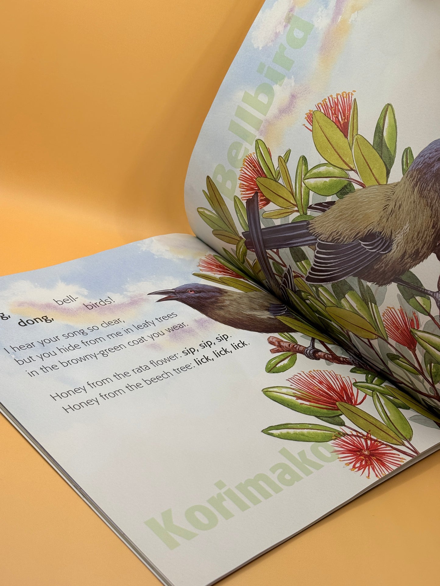 One Little Fantail / Korimako Bellbird by Anne Hunter / Avis Acres