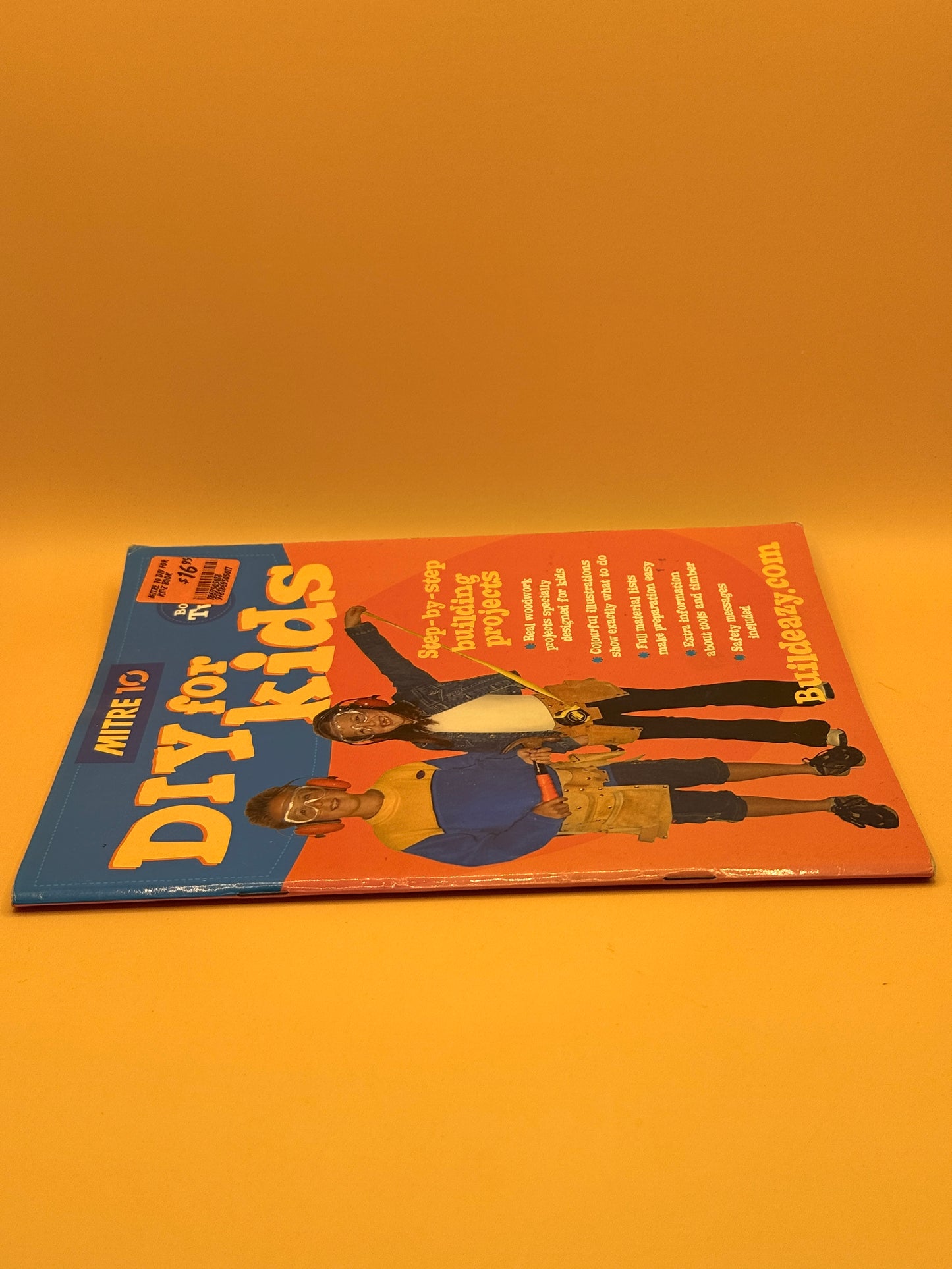 DIY for Kids by Mitre 10 Editorial Team
