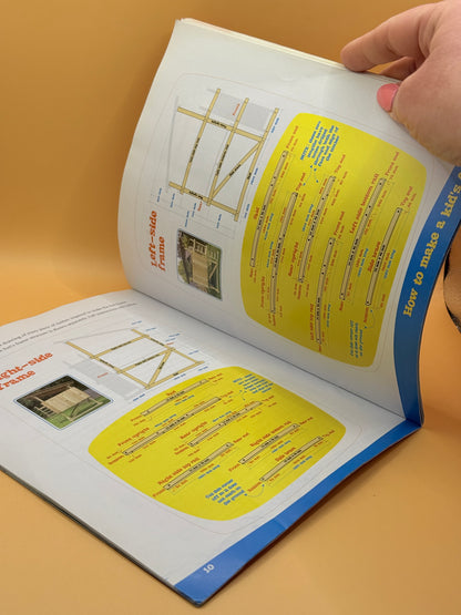 DIY for Kids by Mitre 10 Editorial Team