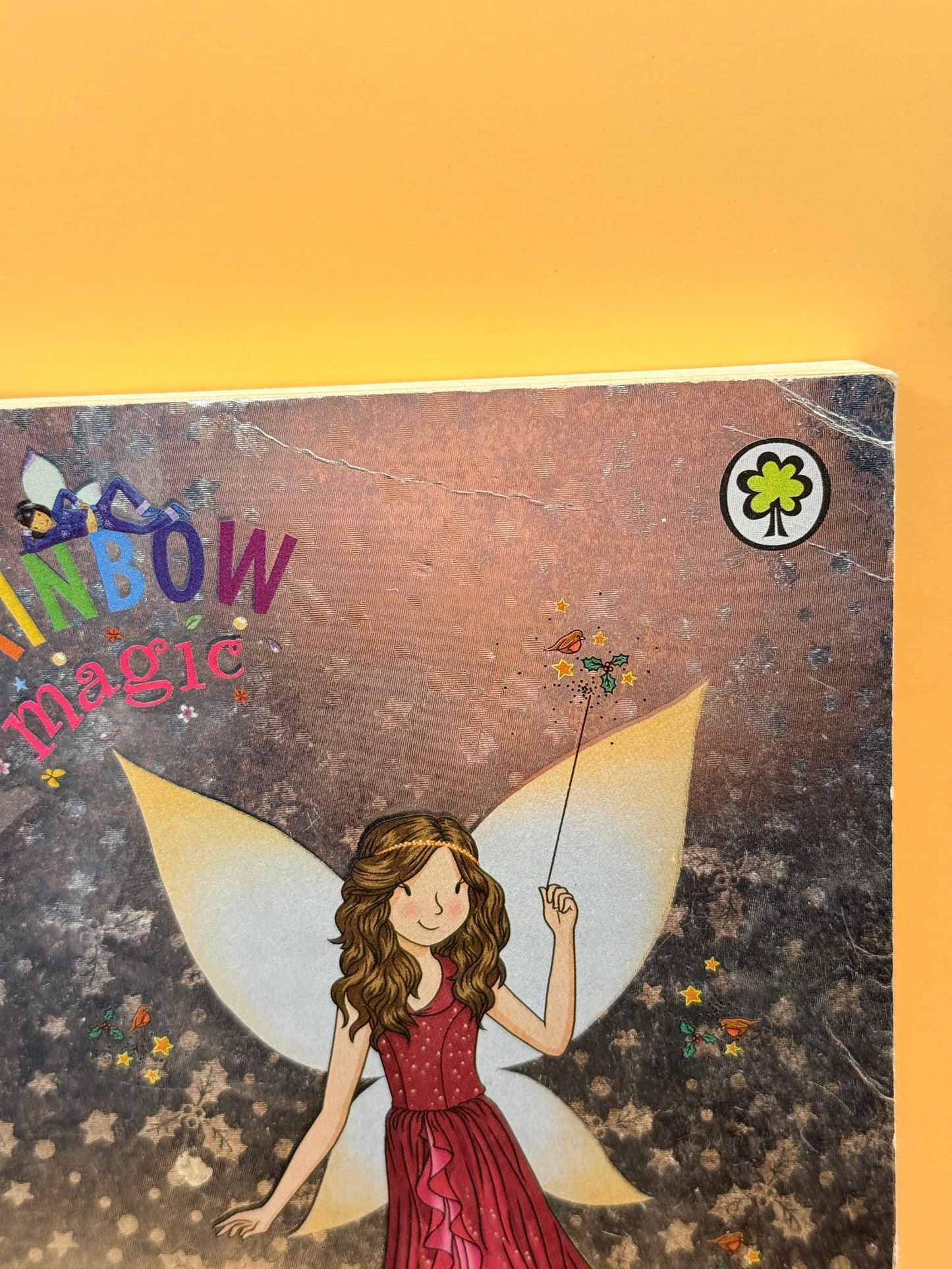 Rainbow Magic: Robyn the Christmas Party Fairy by Daisy Meadows