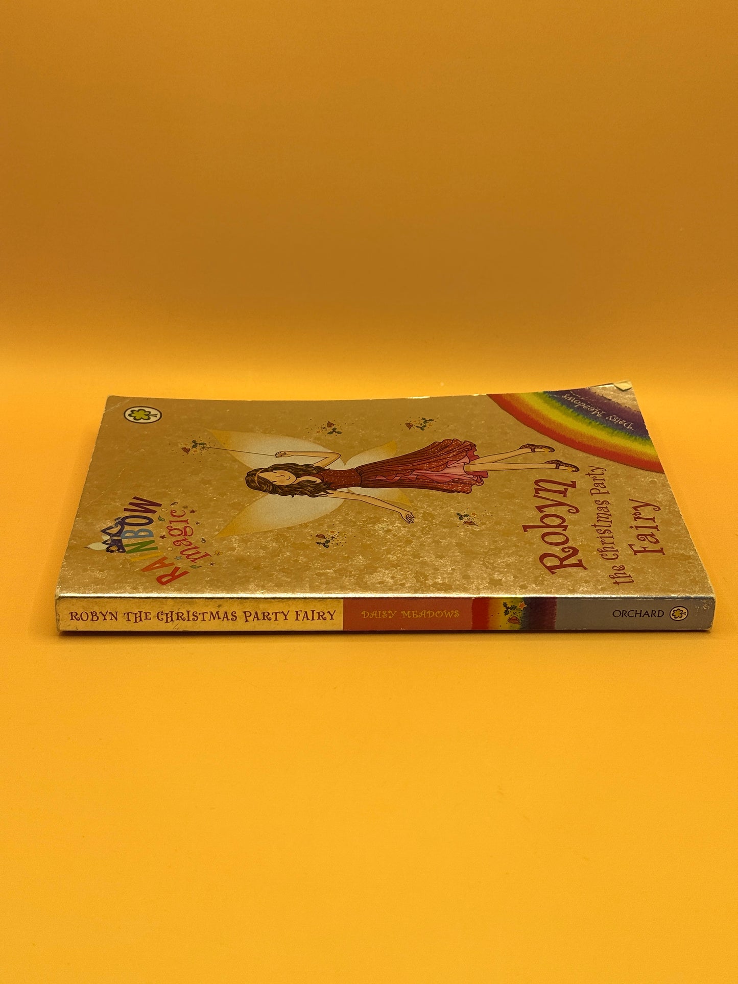 Rainbow Magic: Robyn the Christmas Party Fairy by Daisy Meadows