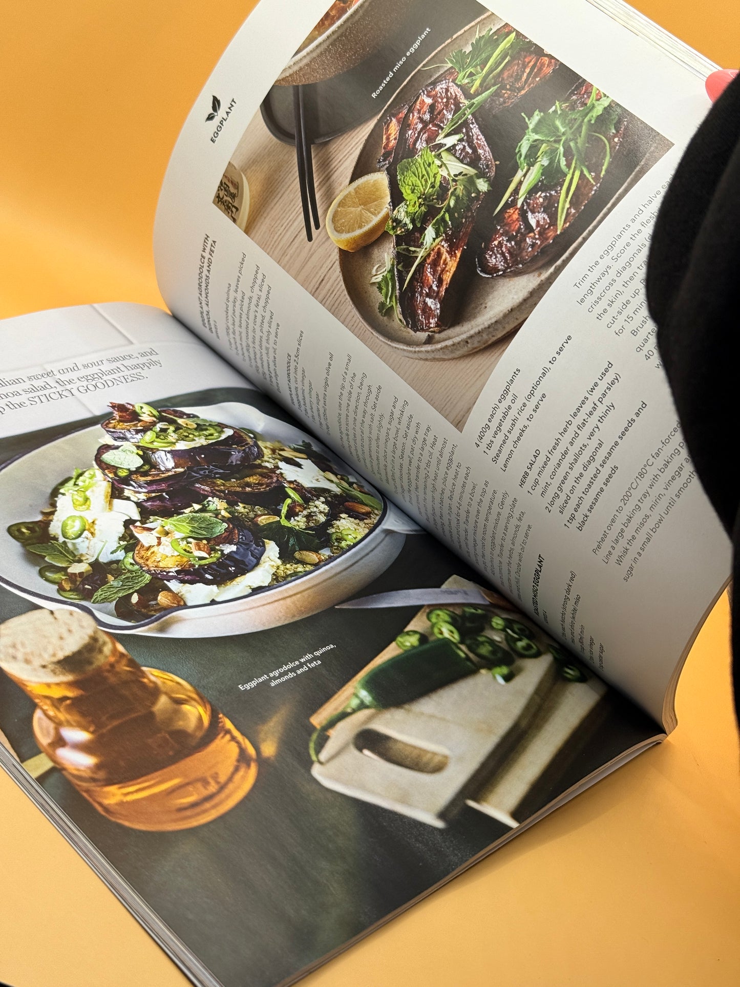 delicious. – Best of Summer Cookbook