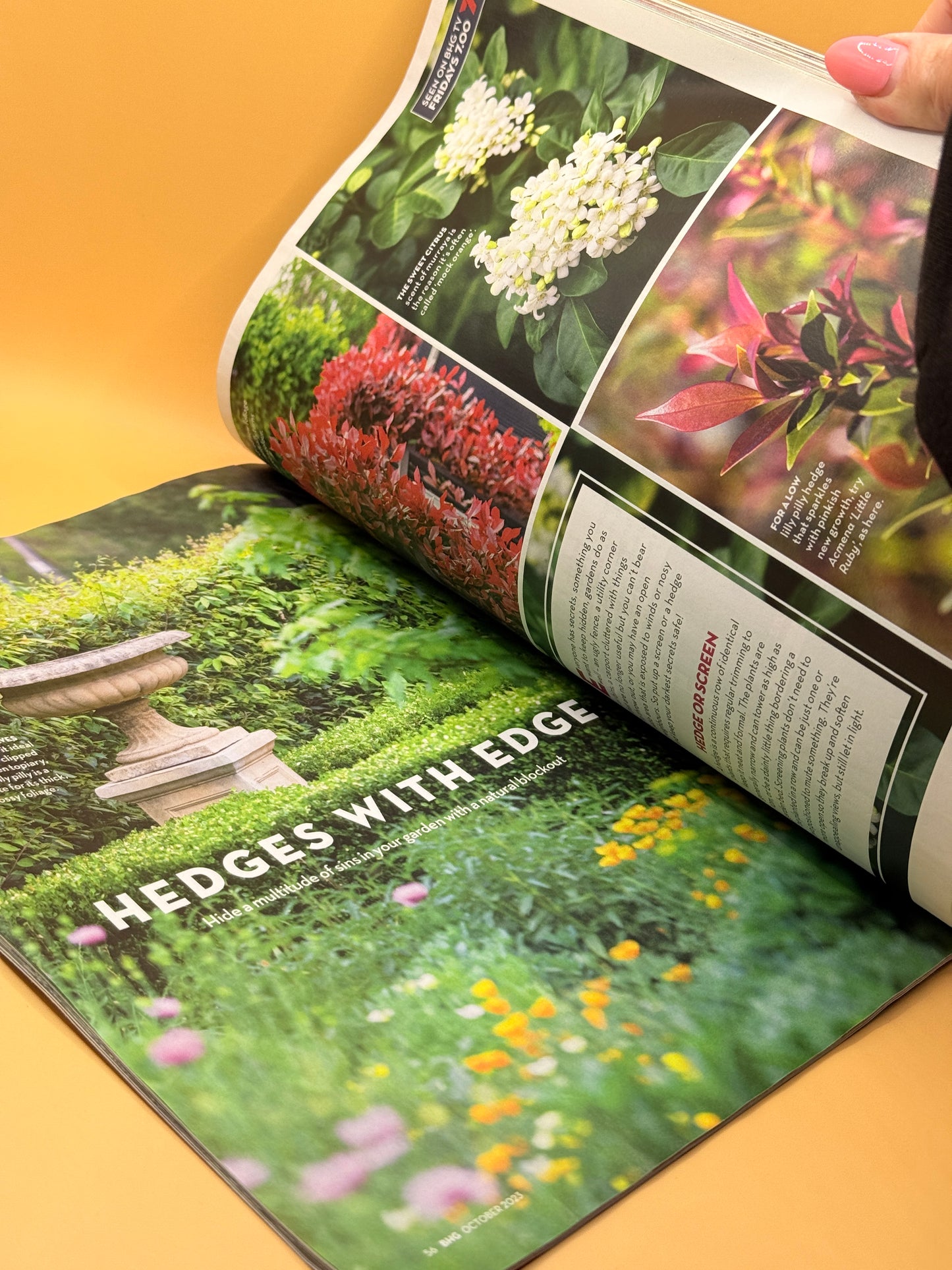 Better Homes and Gardens – Spring Issue - Oct 2023