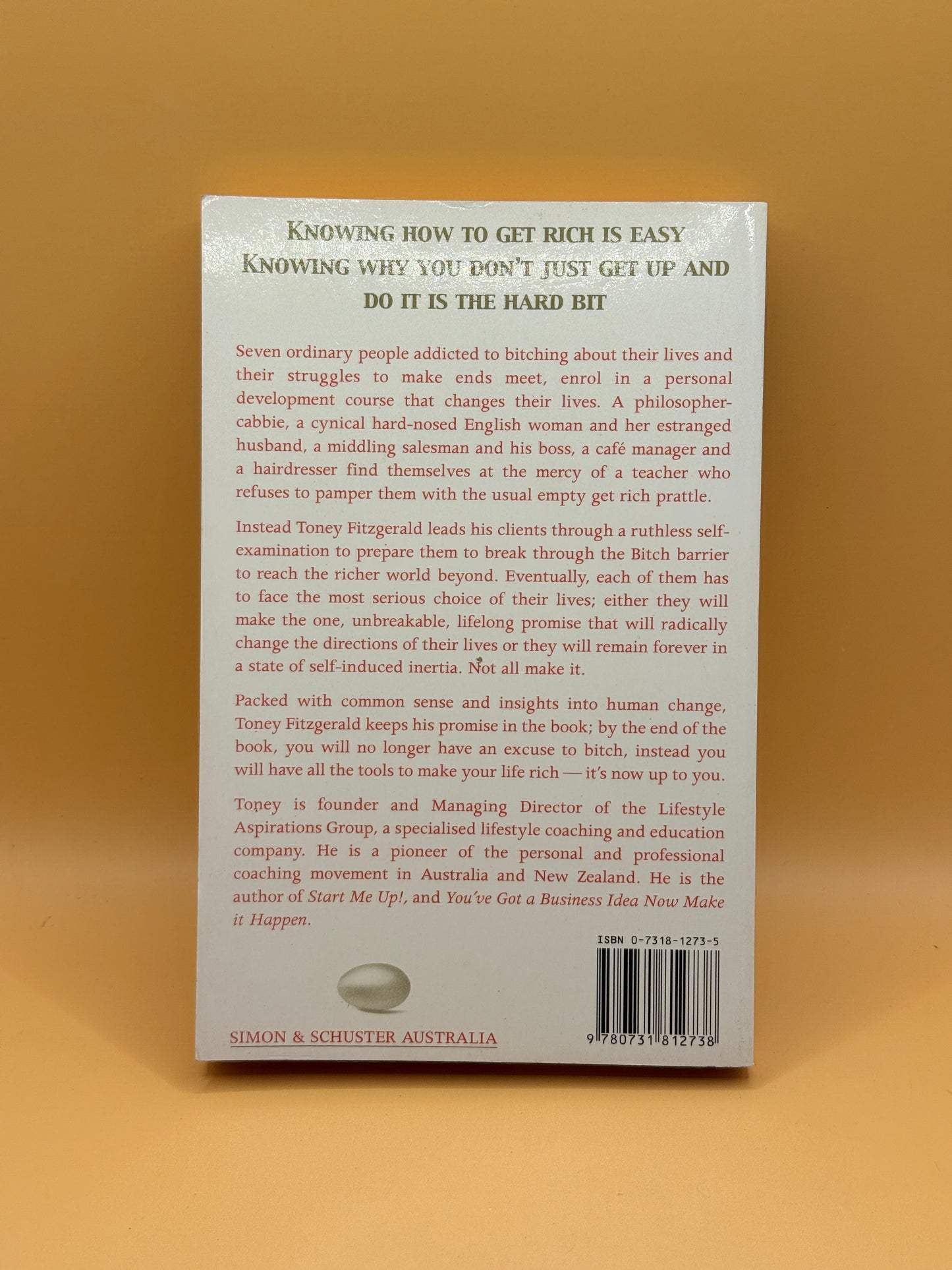 Don't Bitch Just Get Rich by Toney Fitzgerald