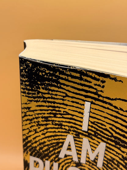 I Am Pilgrim by Terry Hayes