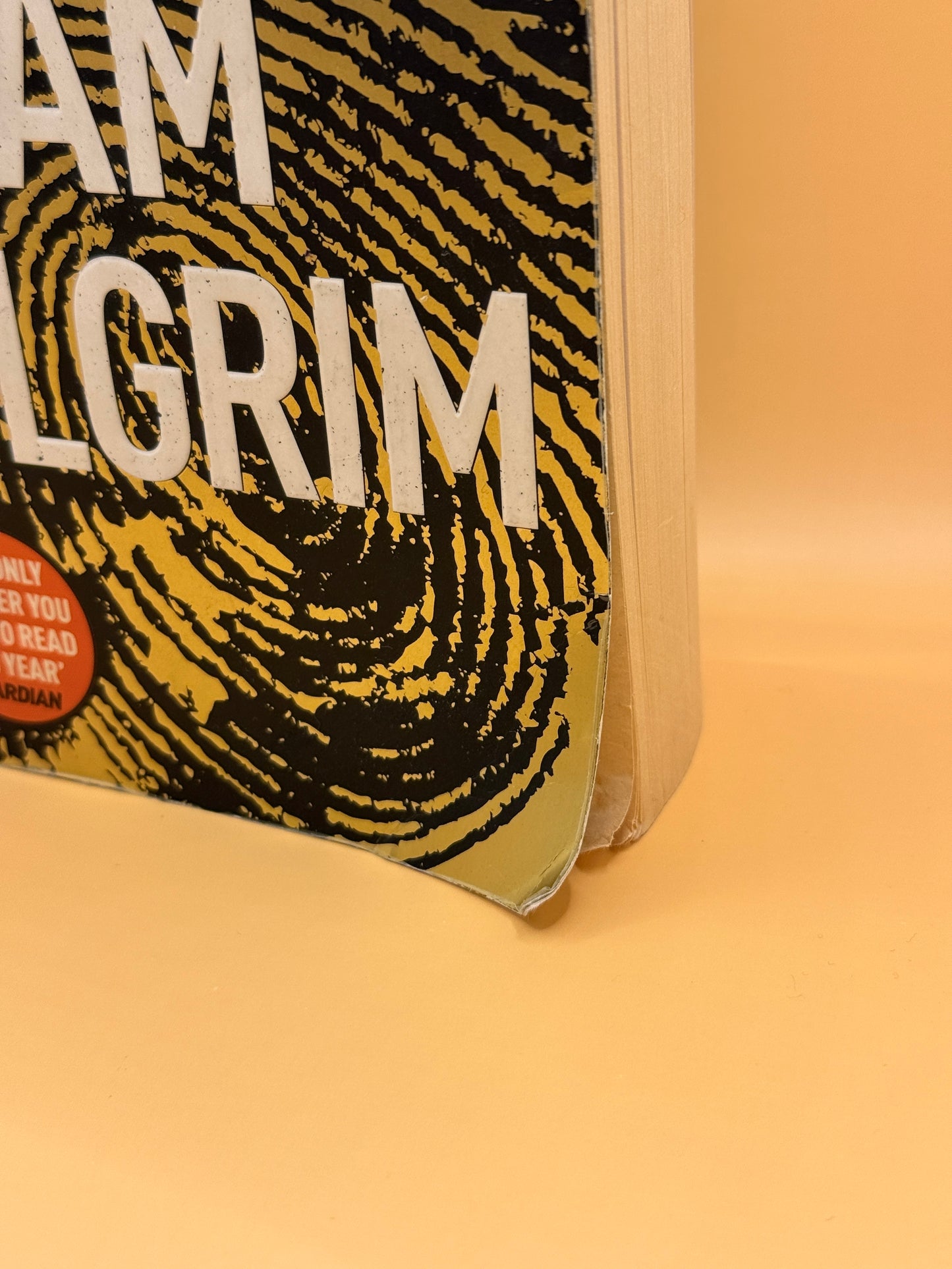 I Am Pilgrim by Terry Hayes