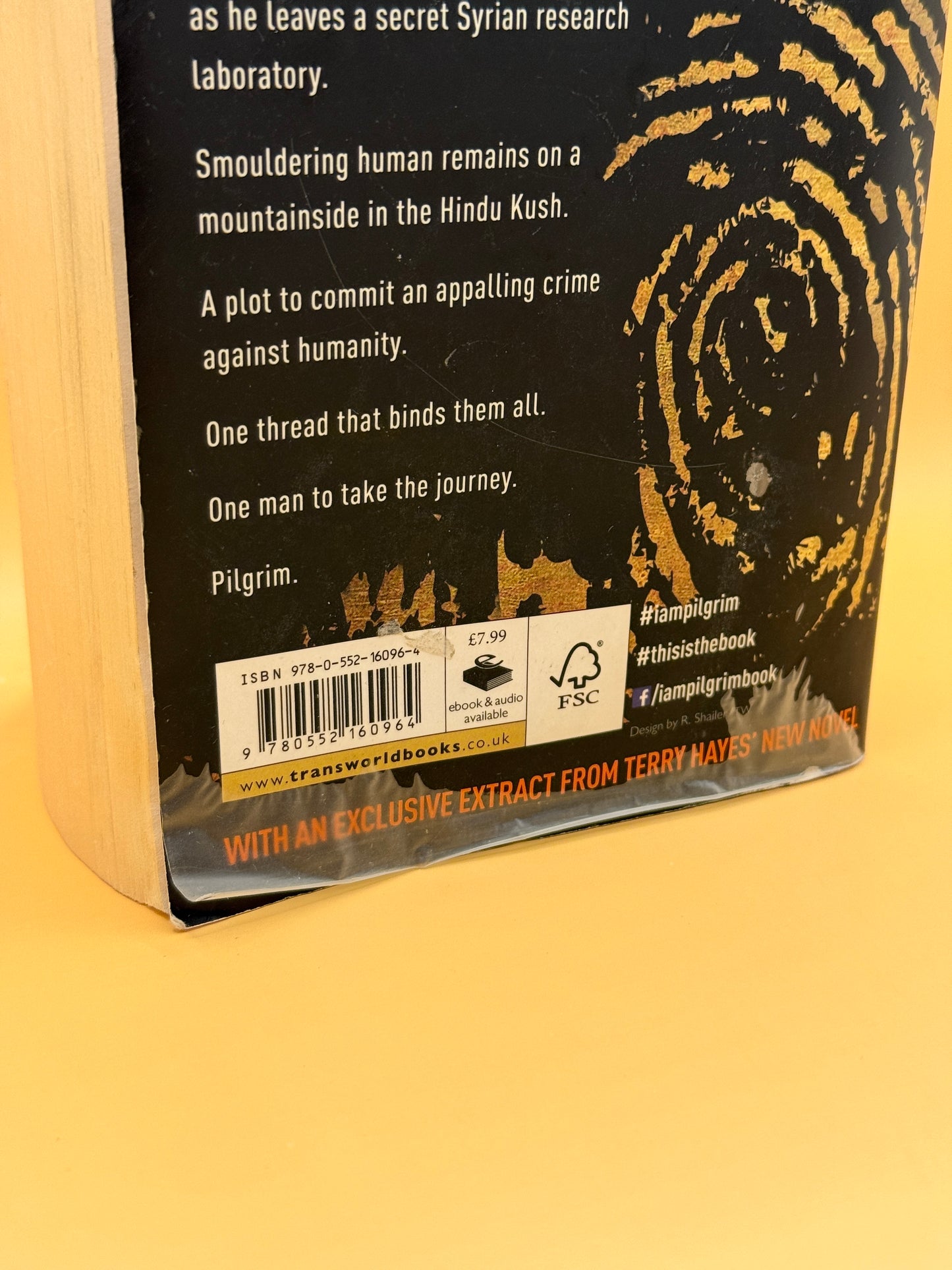 I Am Pilgrim by Terry Hayes