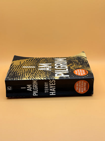 I Am Pilgrim by Terry Hayes