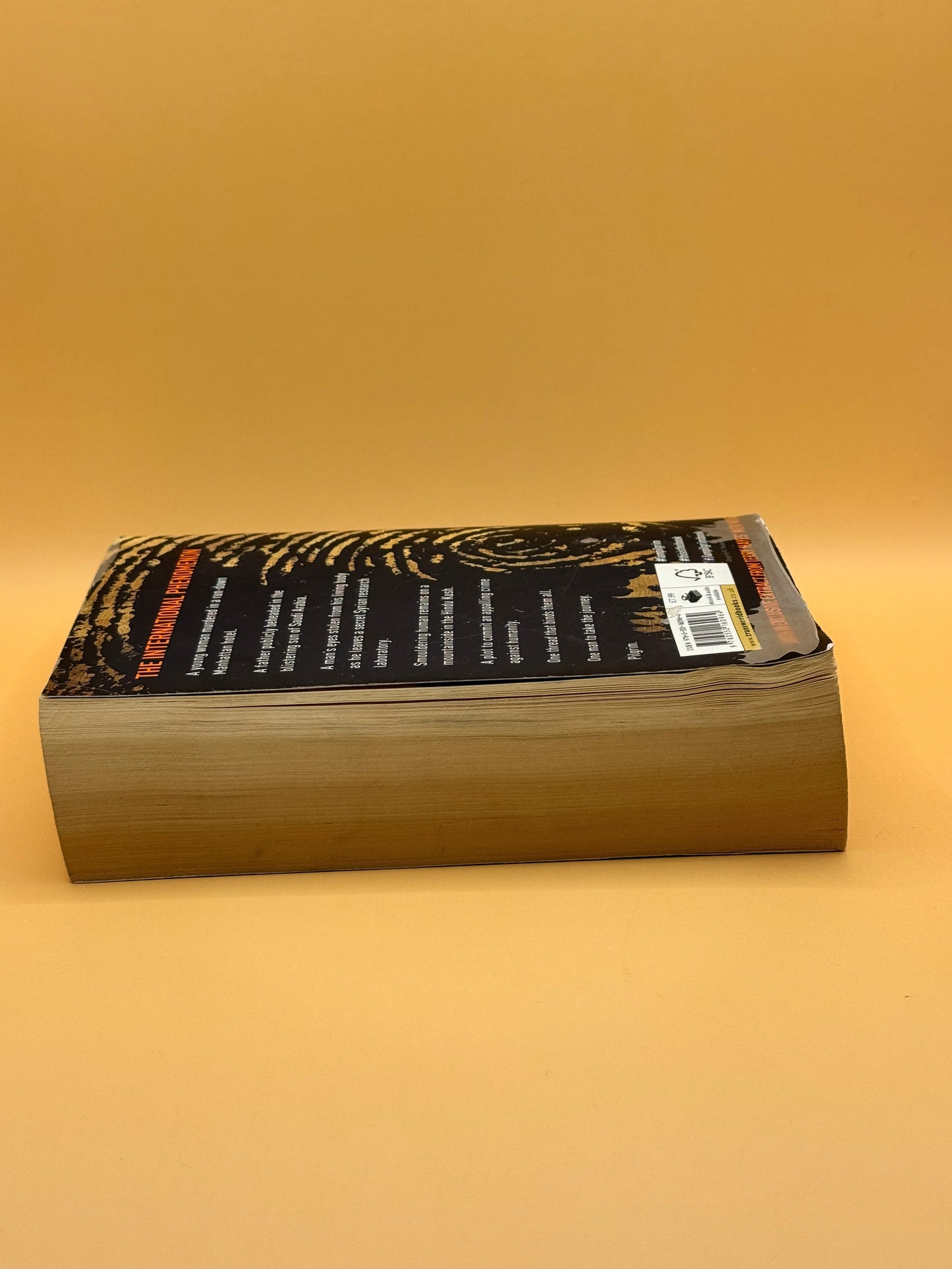 I Am Pilgrim by Terry Hayes