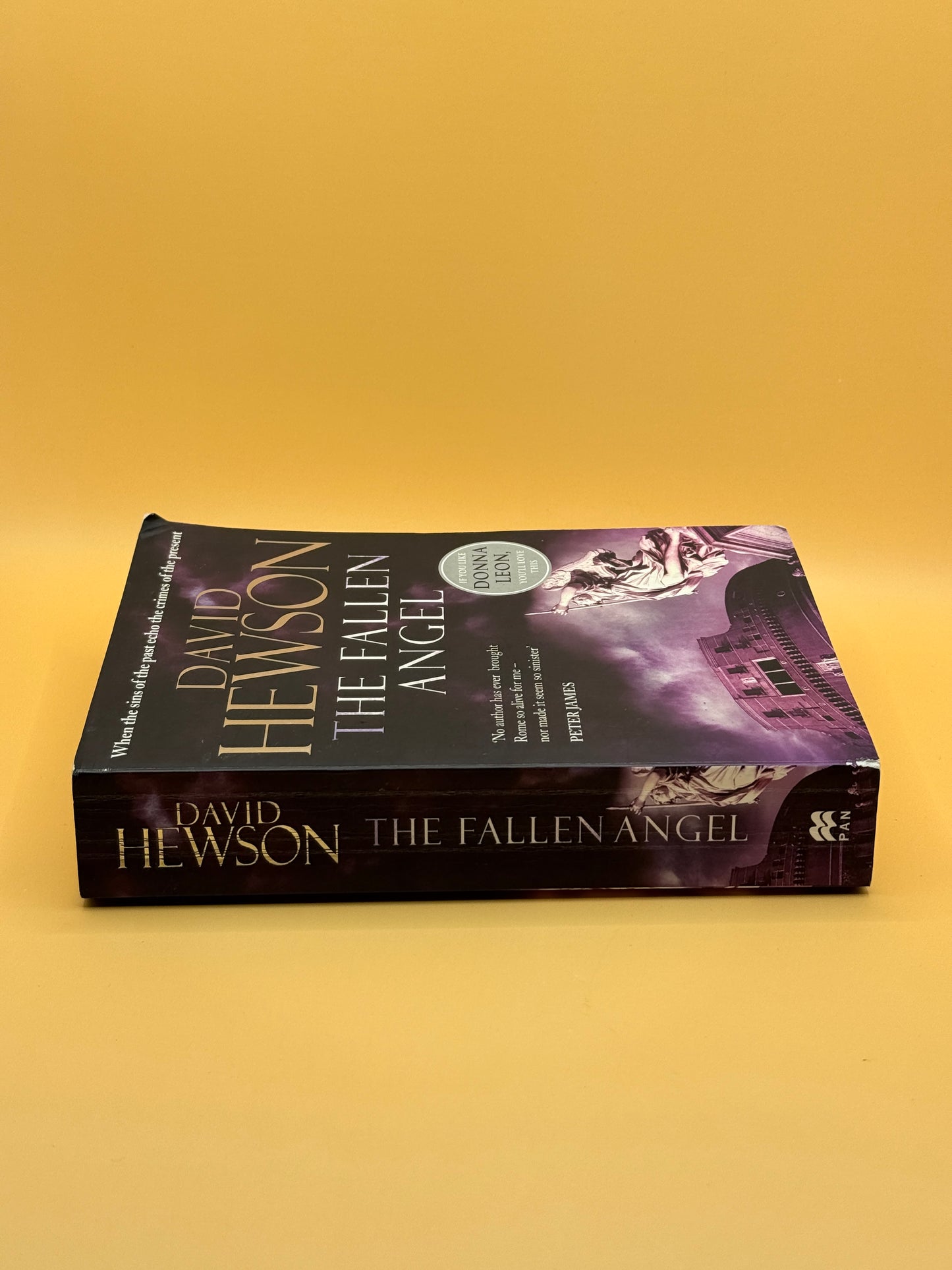 The Fallen Angel by David Hewson