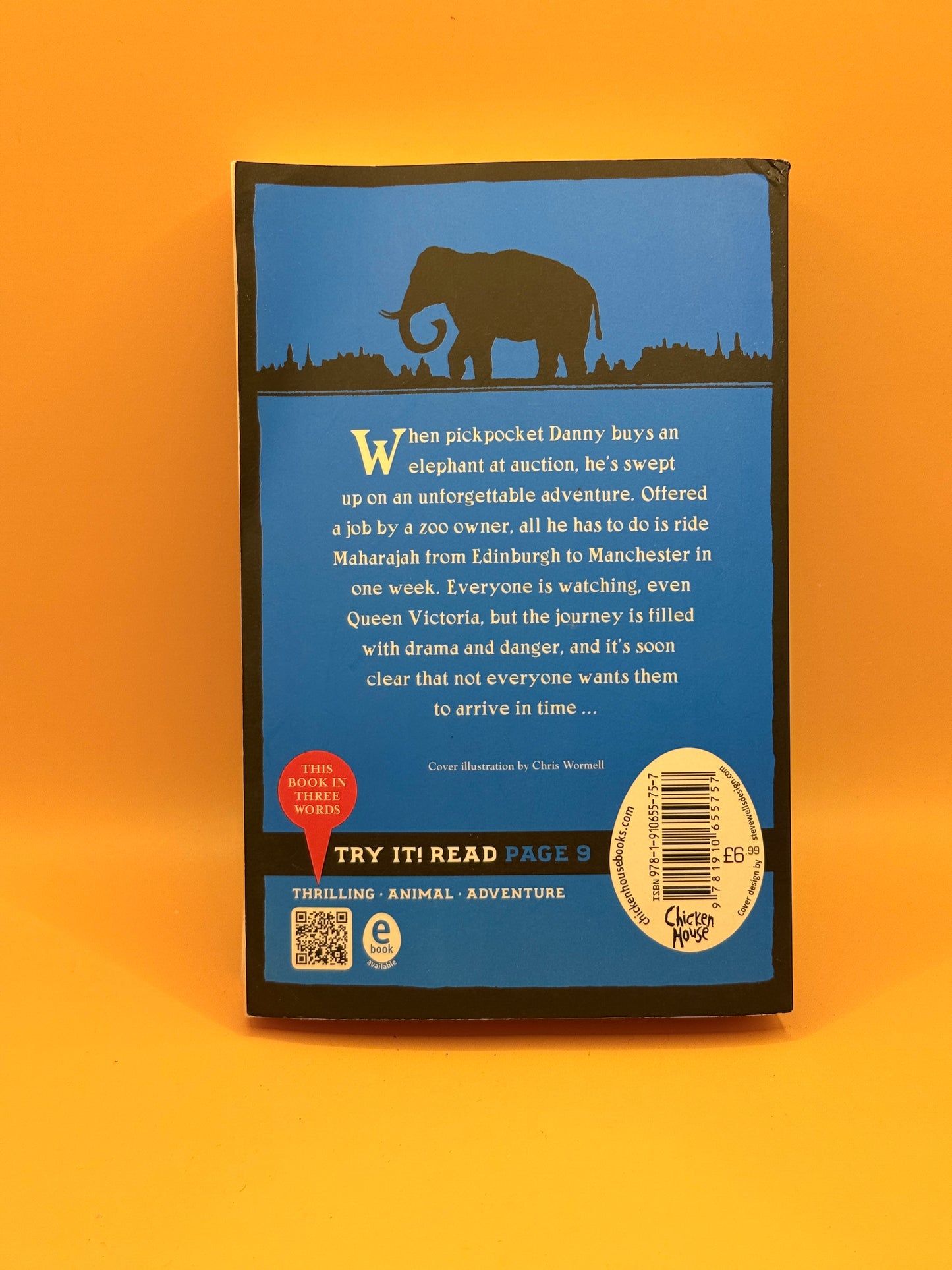 The Elephant Thief by Jane Kerr