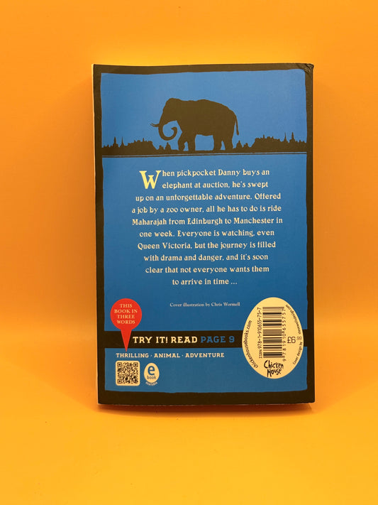 The Elephant Thief by Jane Kerr
