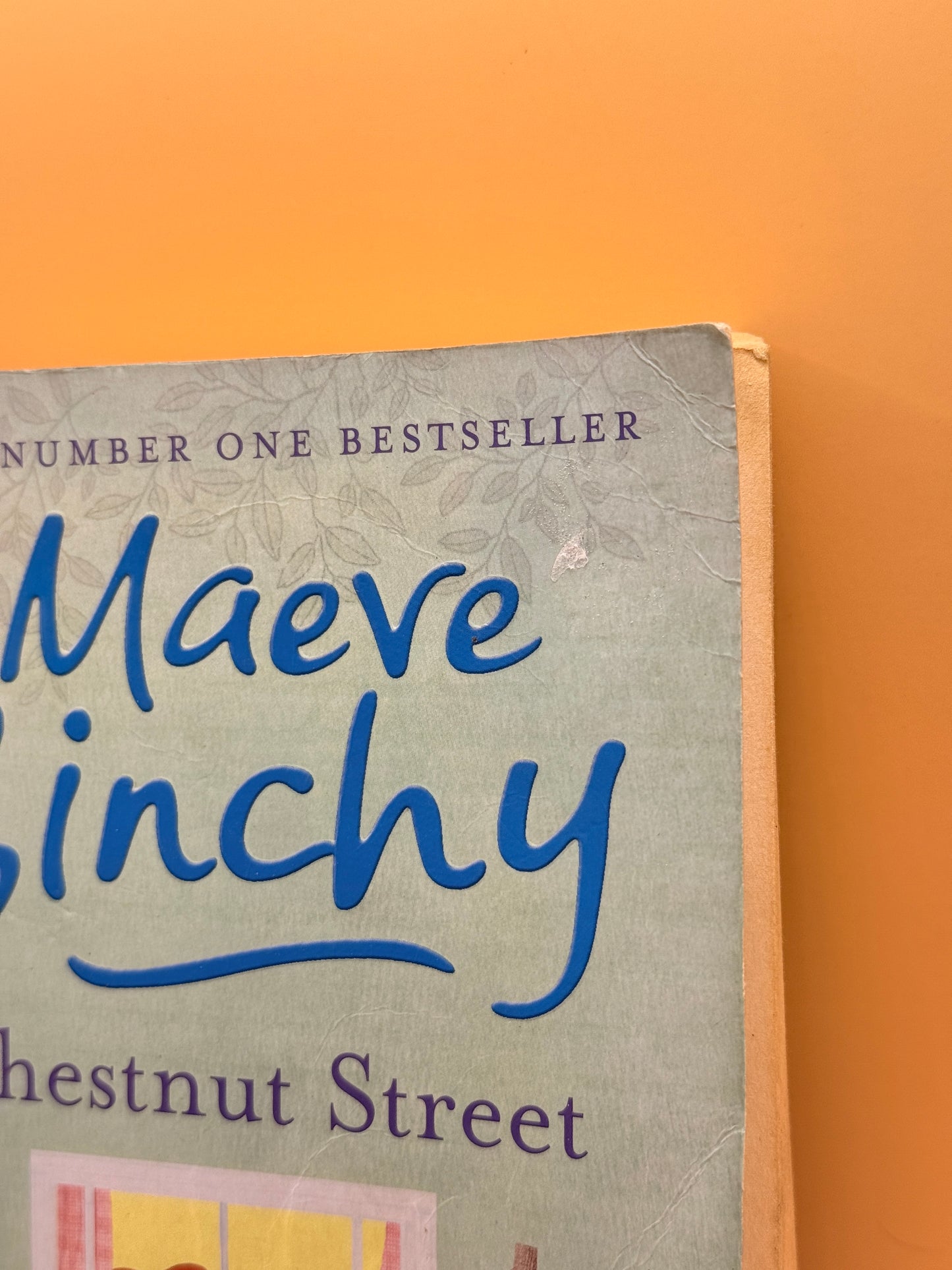 Chestnut Street by Maeve Binchy