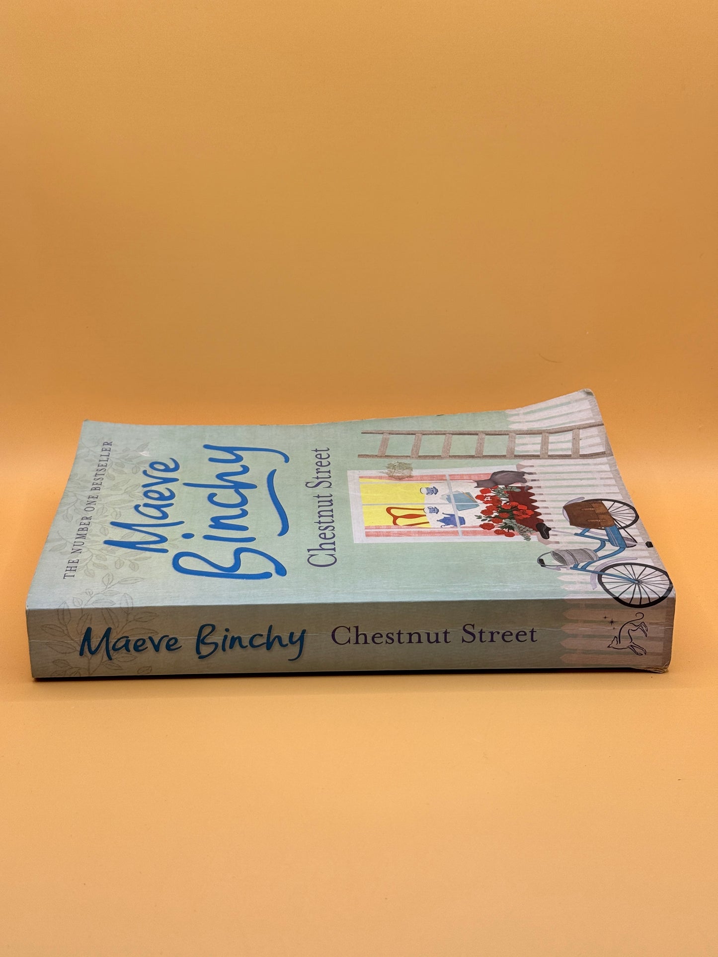 Chestnut Street by Maeve Binchy
