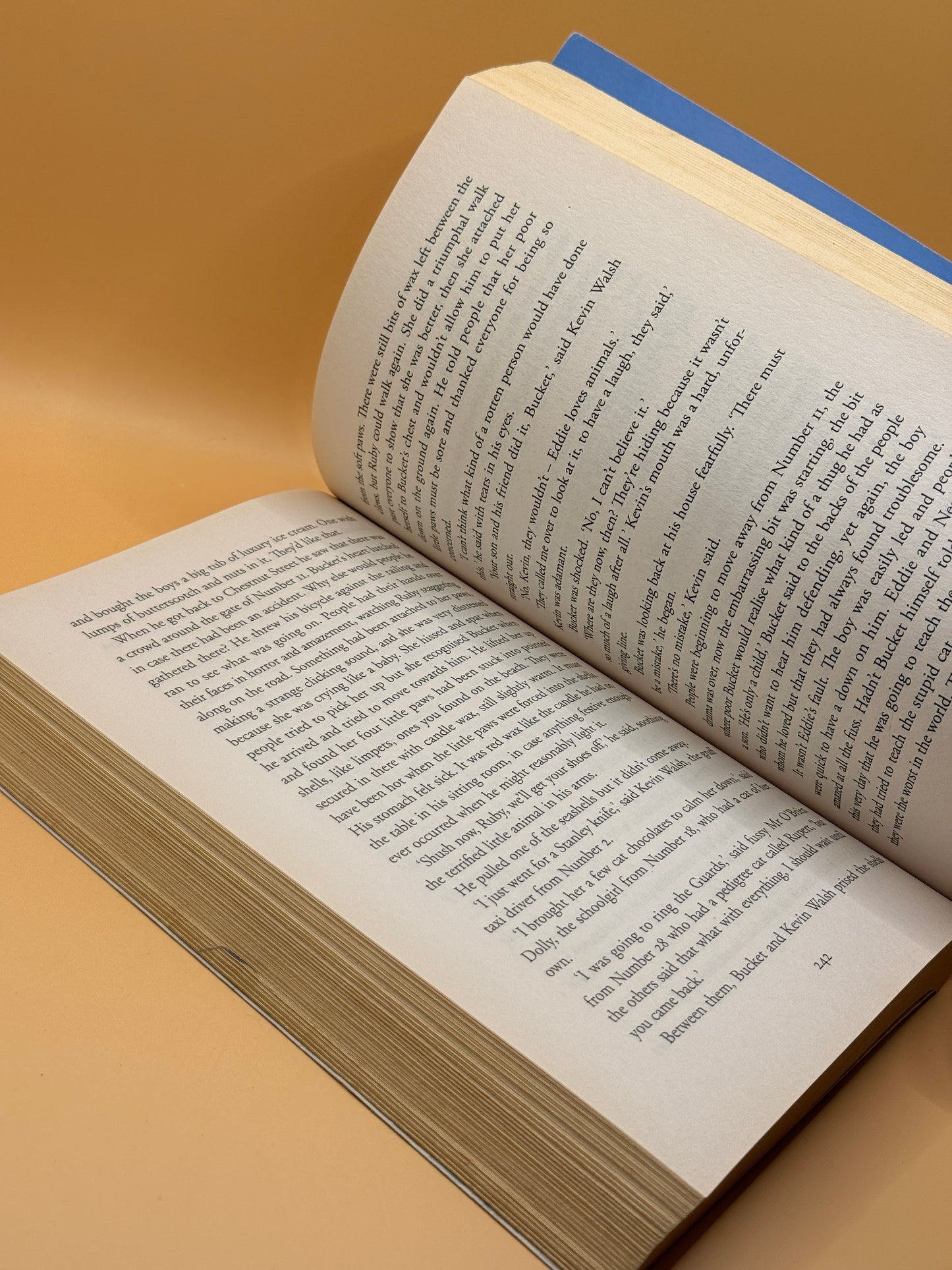 Chestnut Street by Maeve Binchy