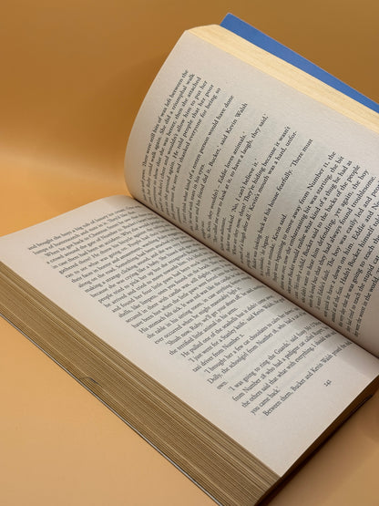 Chestnut Street by Maeve Binchy