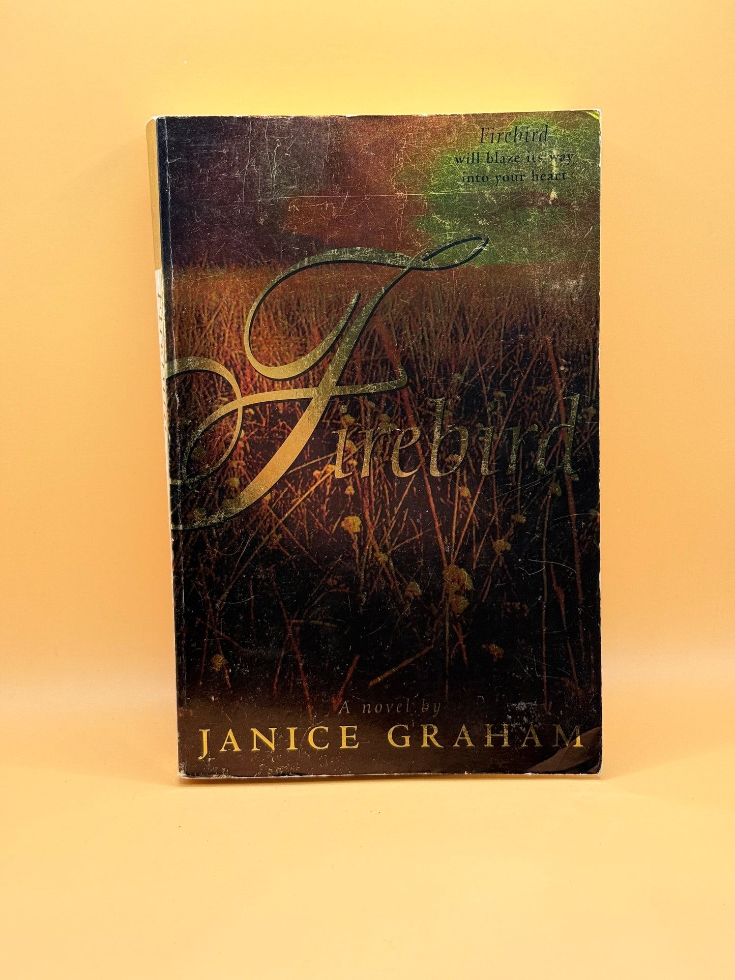 Firebird by Janice Graham