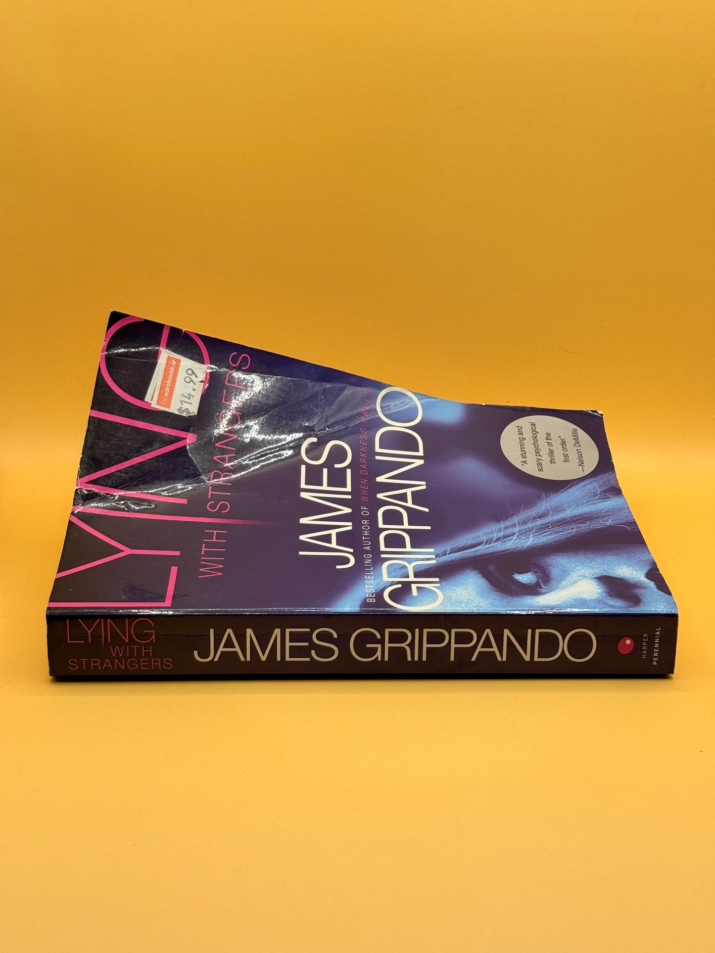 Lying with Strangers by James Grippando