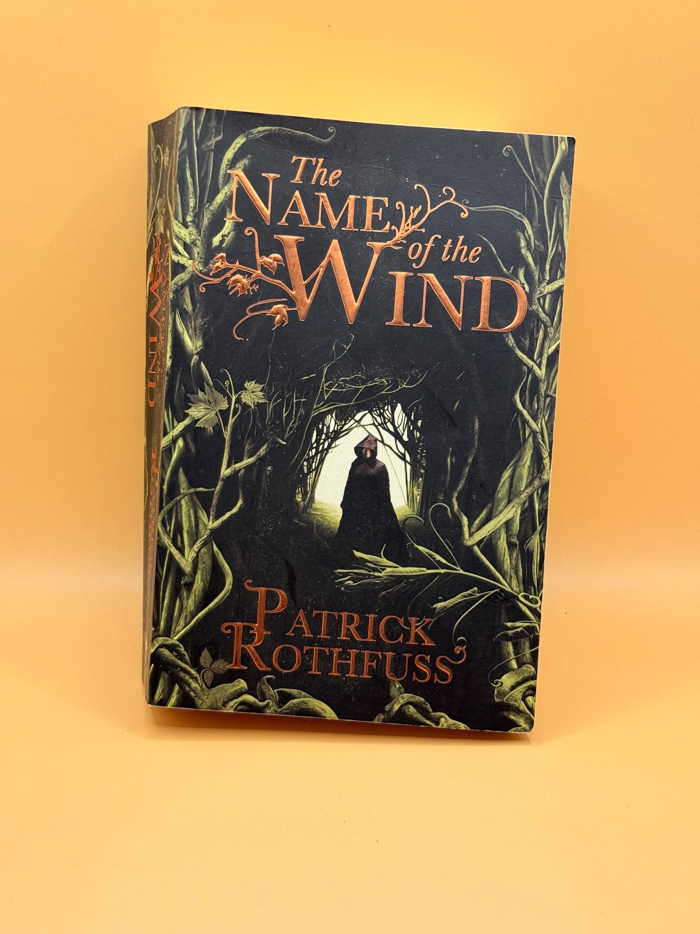 The Name of the Wind by Patrick Rothfuss