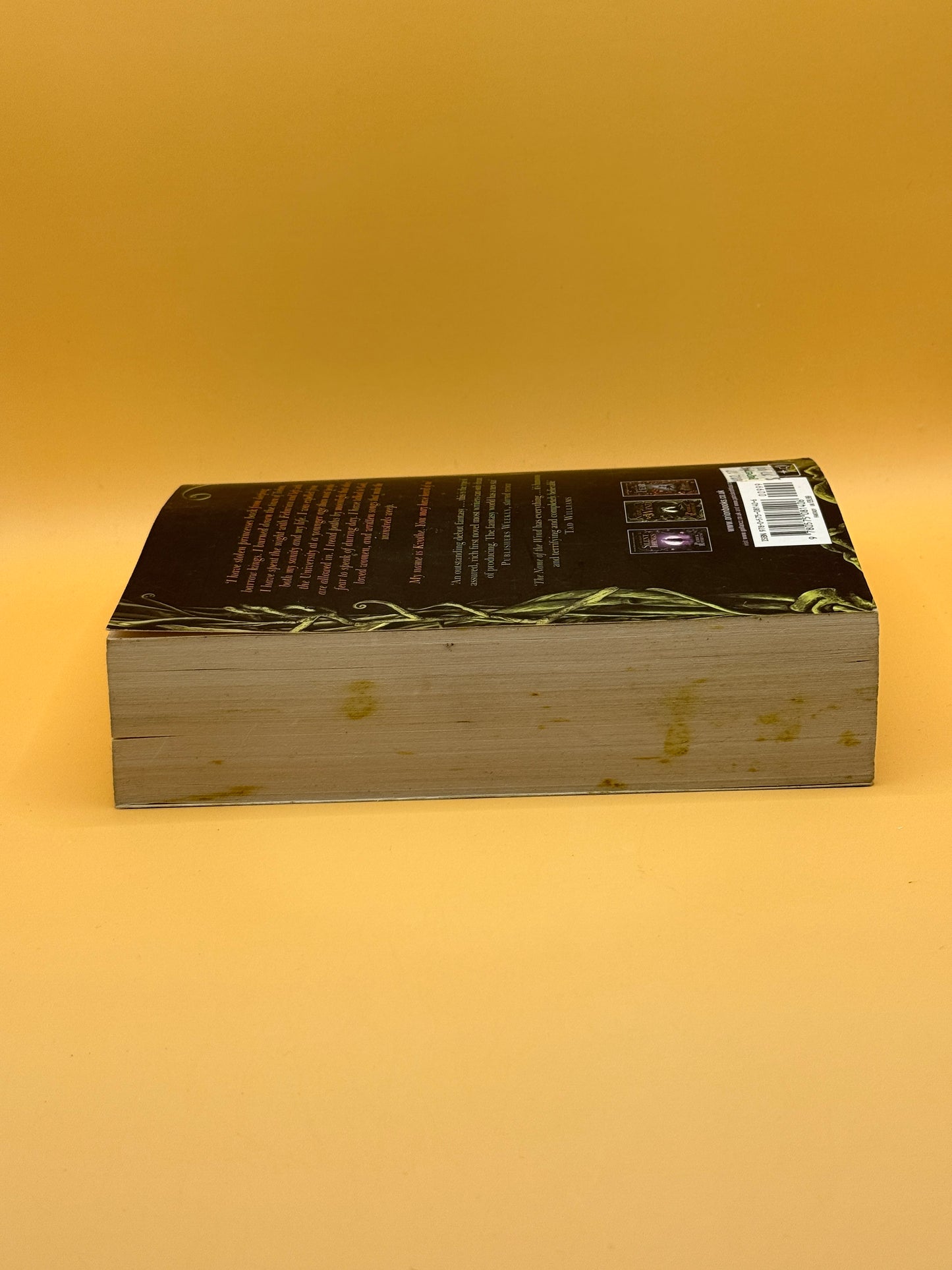 The Name of the Wind by Patrick Rothfuss