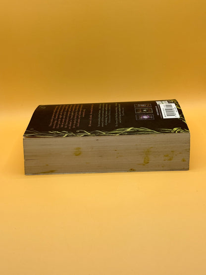 The Name of the Wind by Patrick Rothfuss