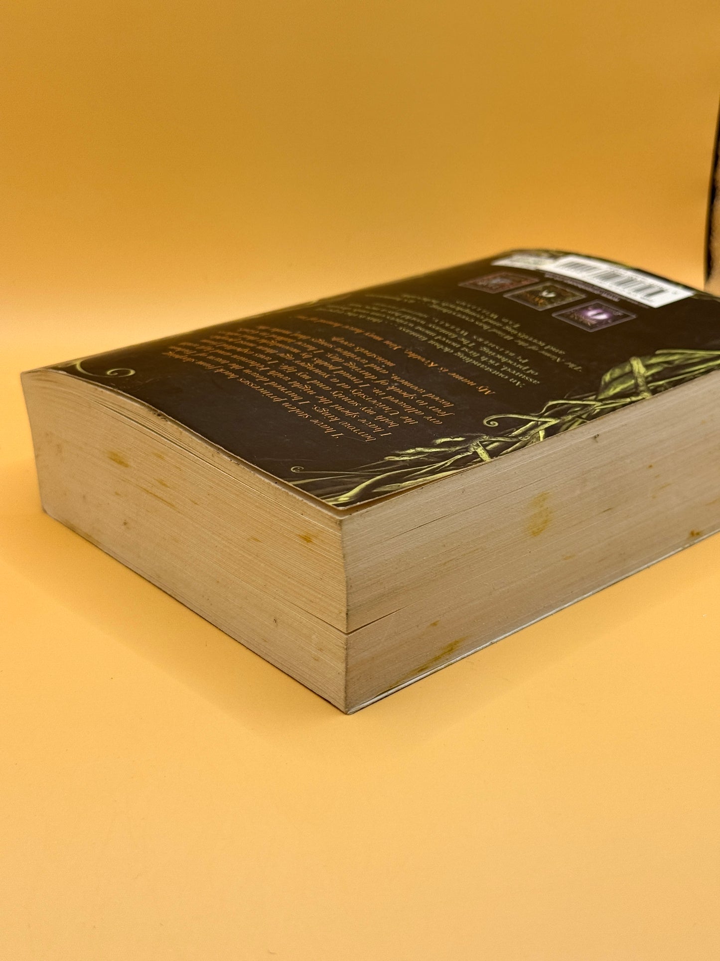 The Name of the Wind by Patrick Rothfuss
