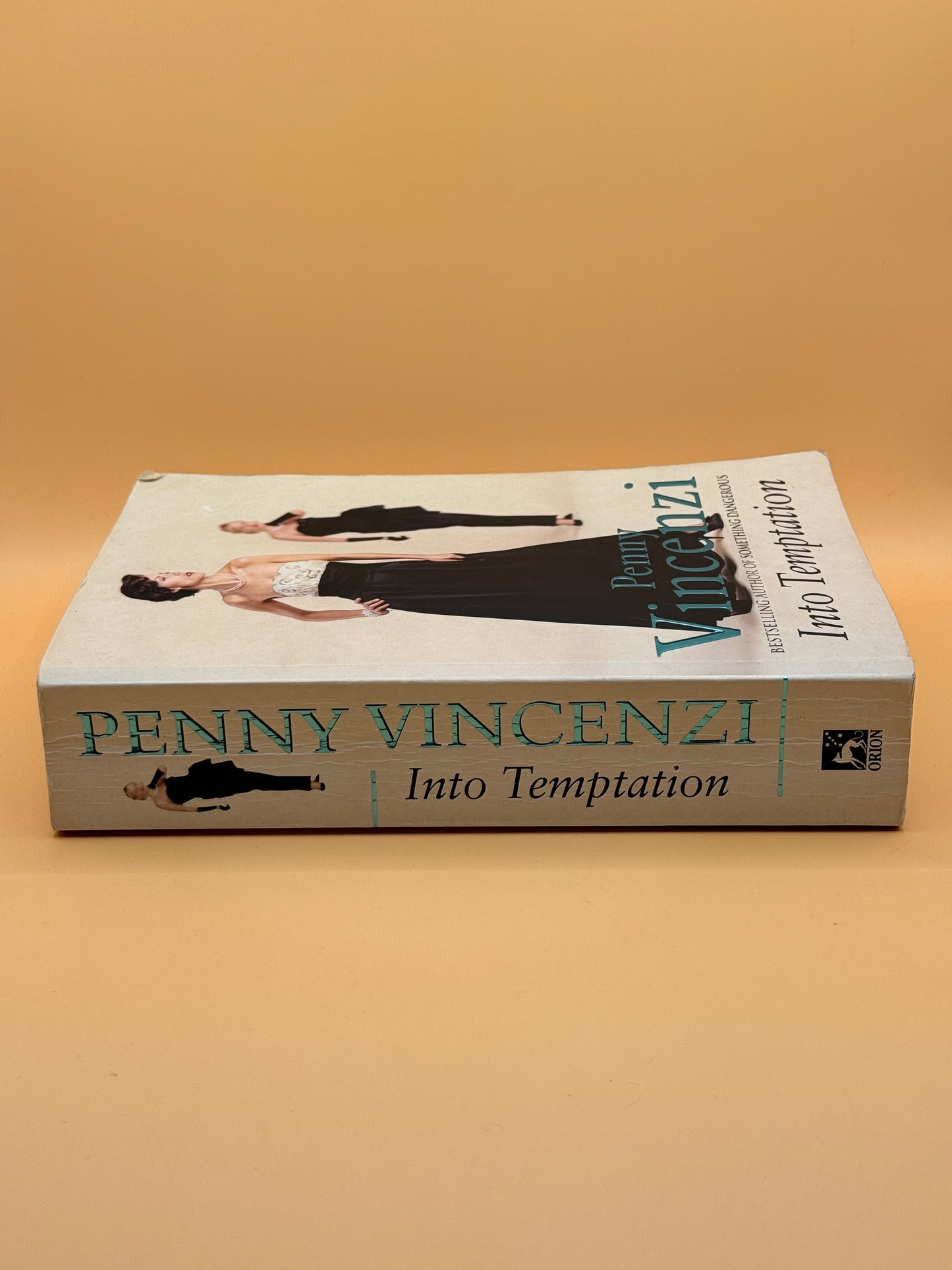 Into Temptation by Penny Vincenzi