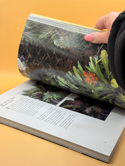 Creative Ideas for New Zealand Gardens by Diana Anthony and Julian Matthews