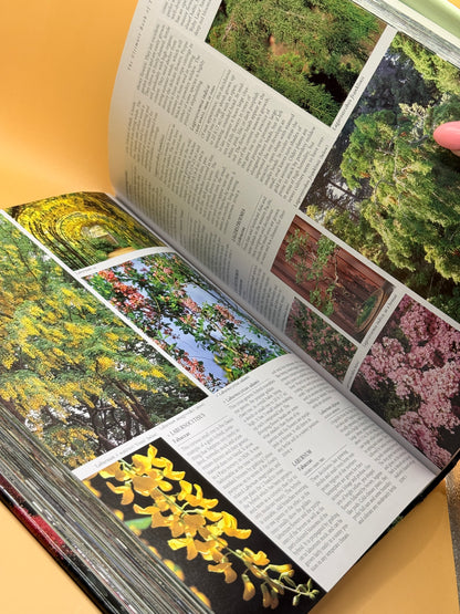 The Ultimate Book of Trees and Shrubs for New Zealand