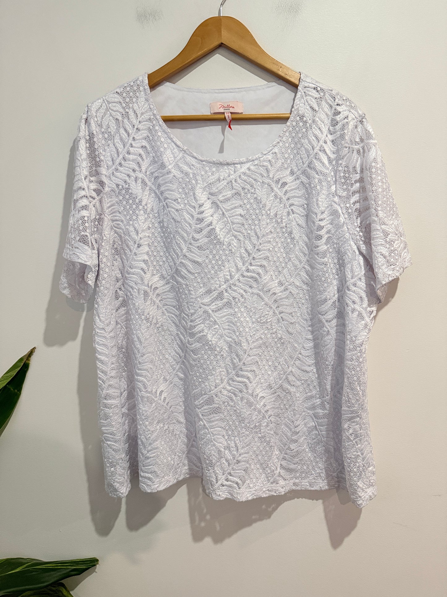 Millers Lace Top  - Size 22