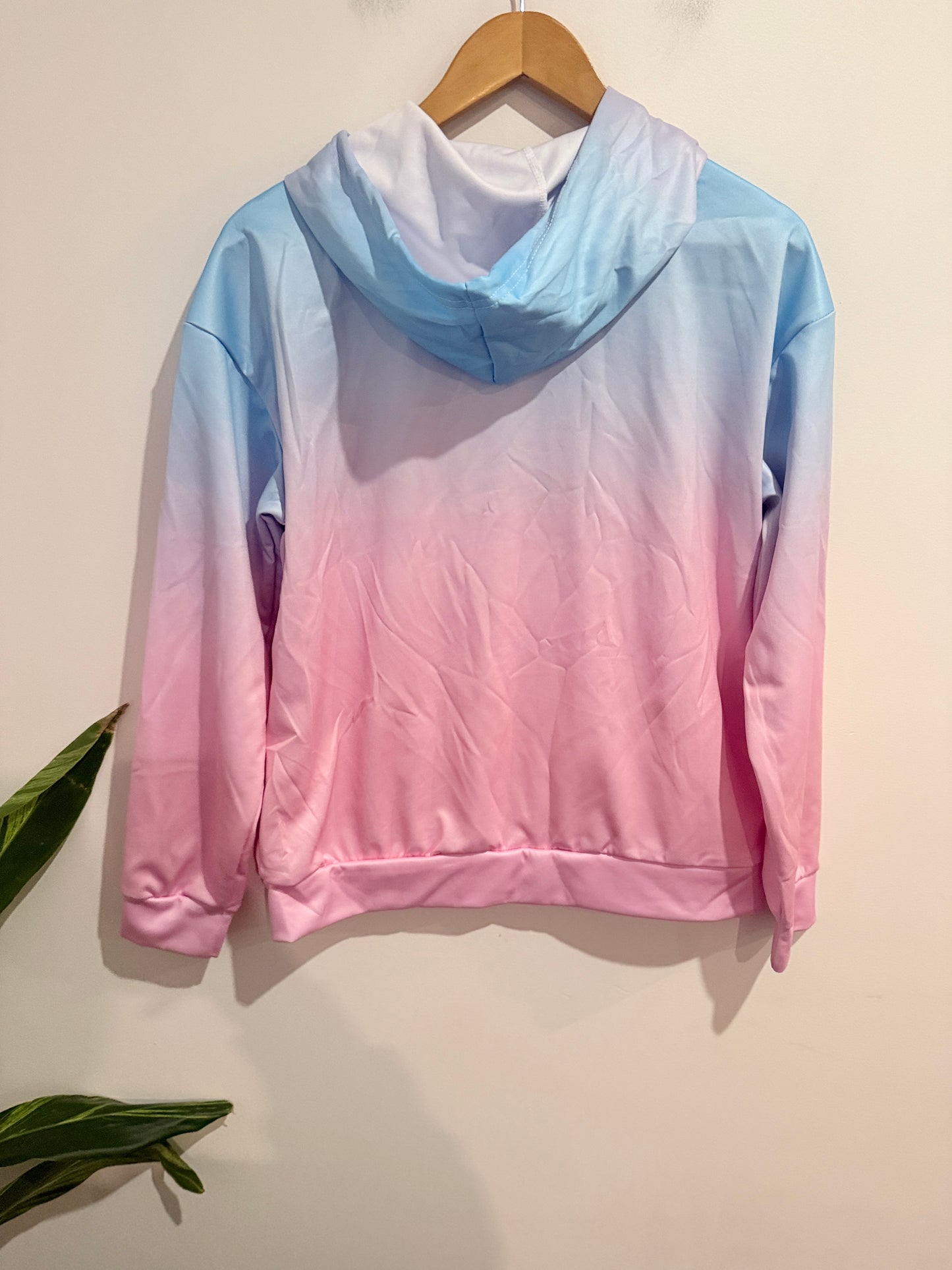 Brand Unknown Pastel Ombre Hoodie - Size S