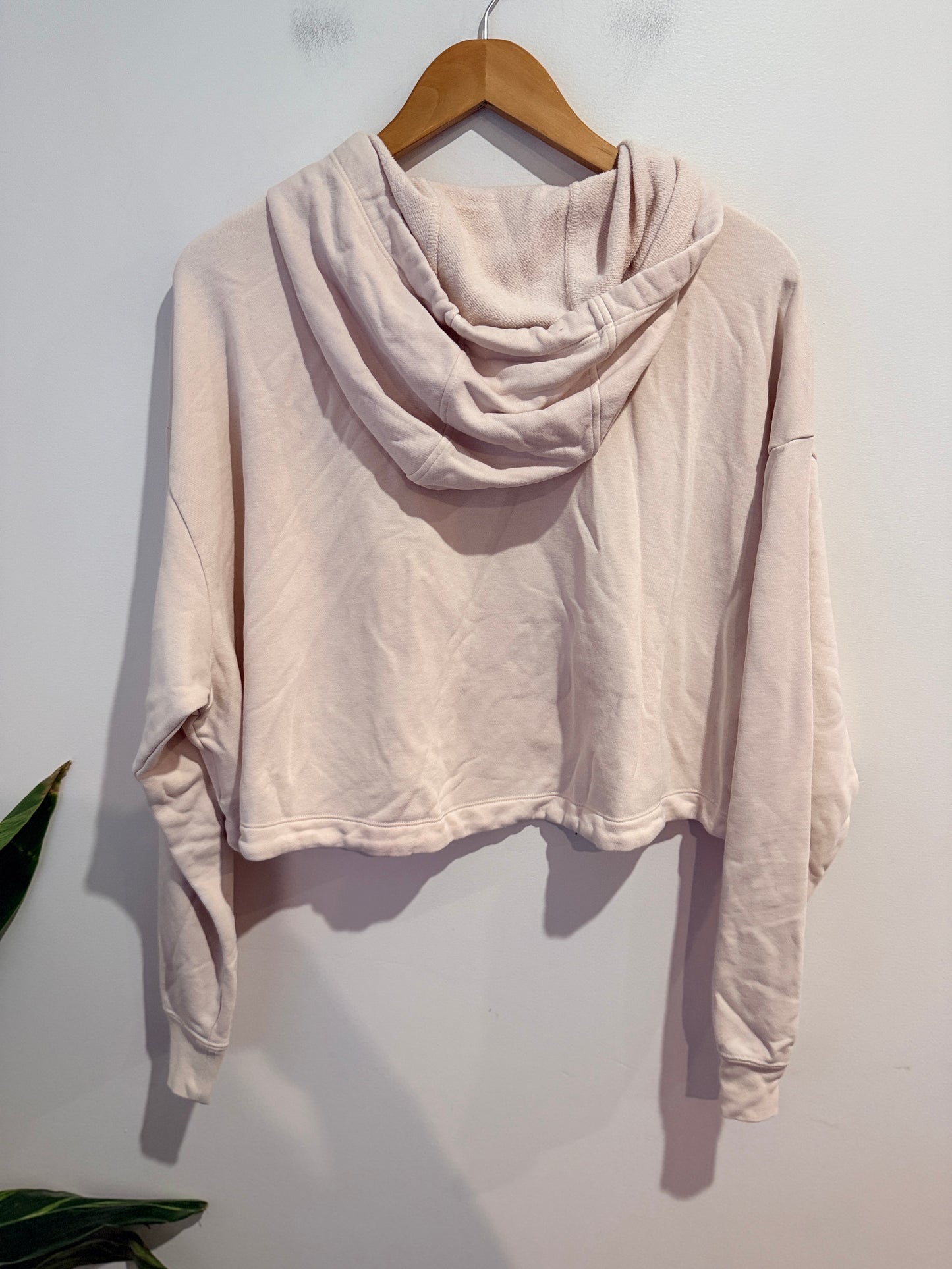 Nike Air Light Pink Cropped Hoodie - L