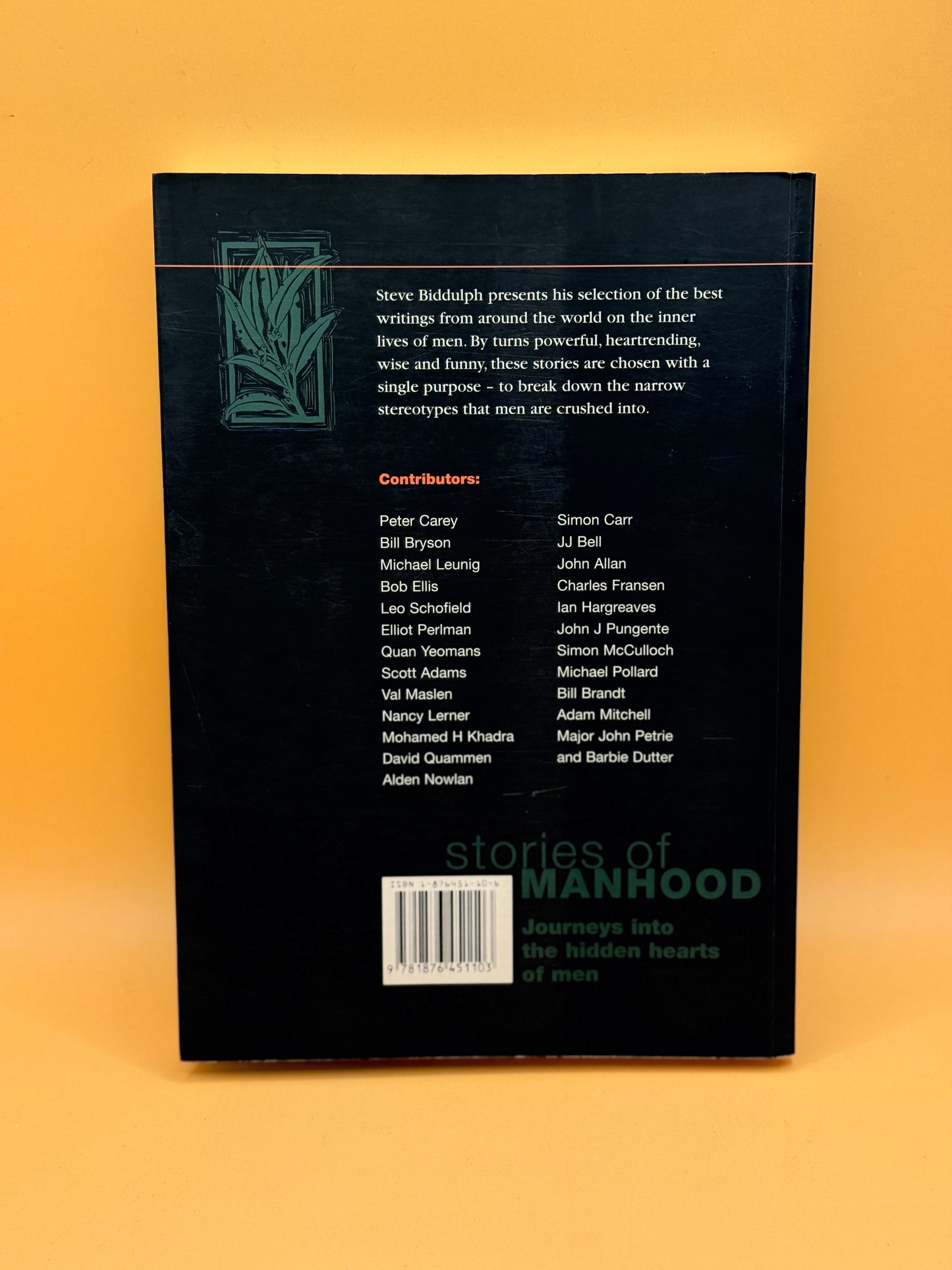 Stories of Manhood by Steve Biddulph