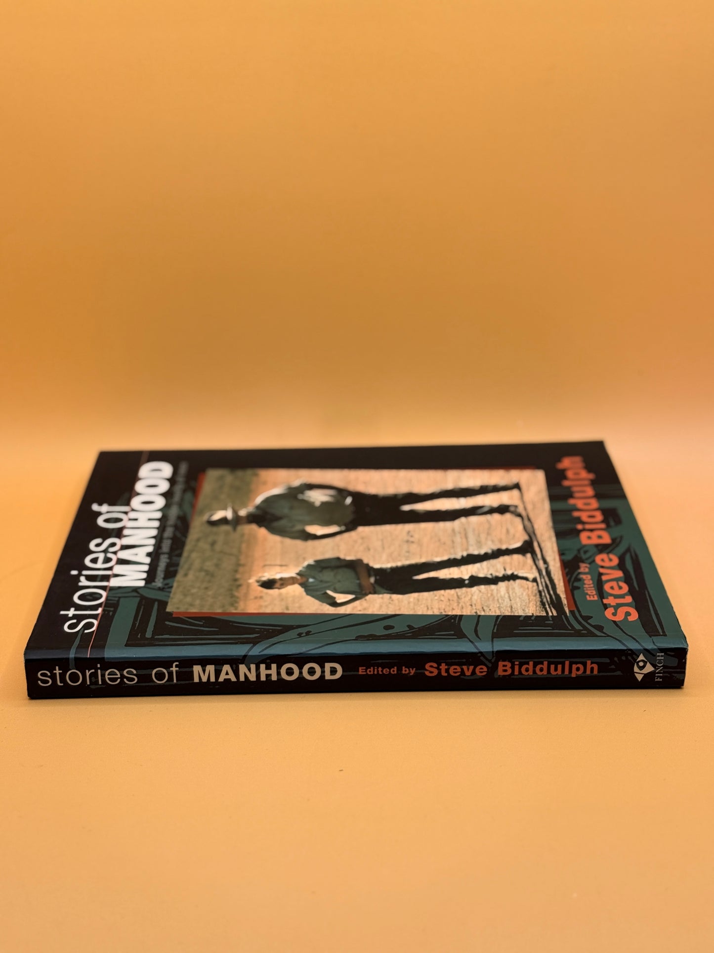 Stories of Manhood by Steve Biddulph
