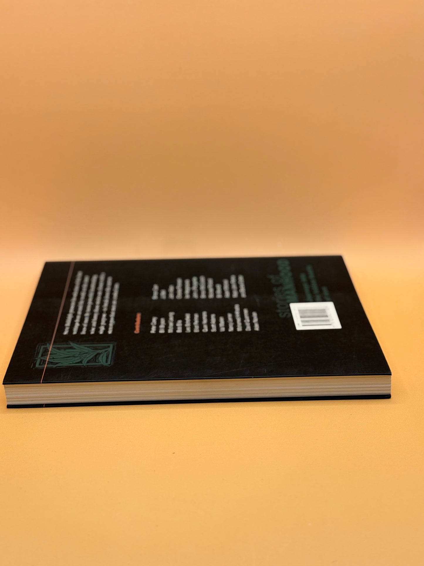 Stories of Manhood by Steve Biddulph