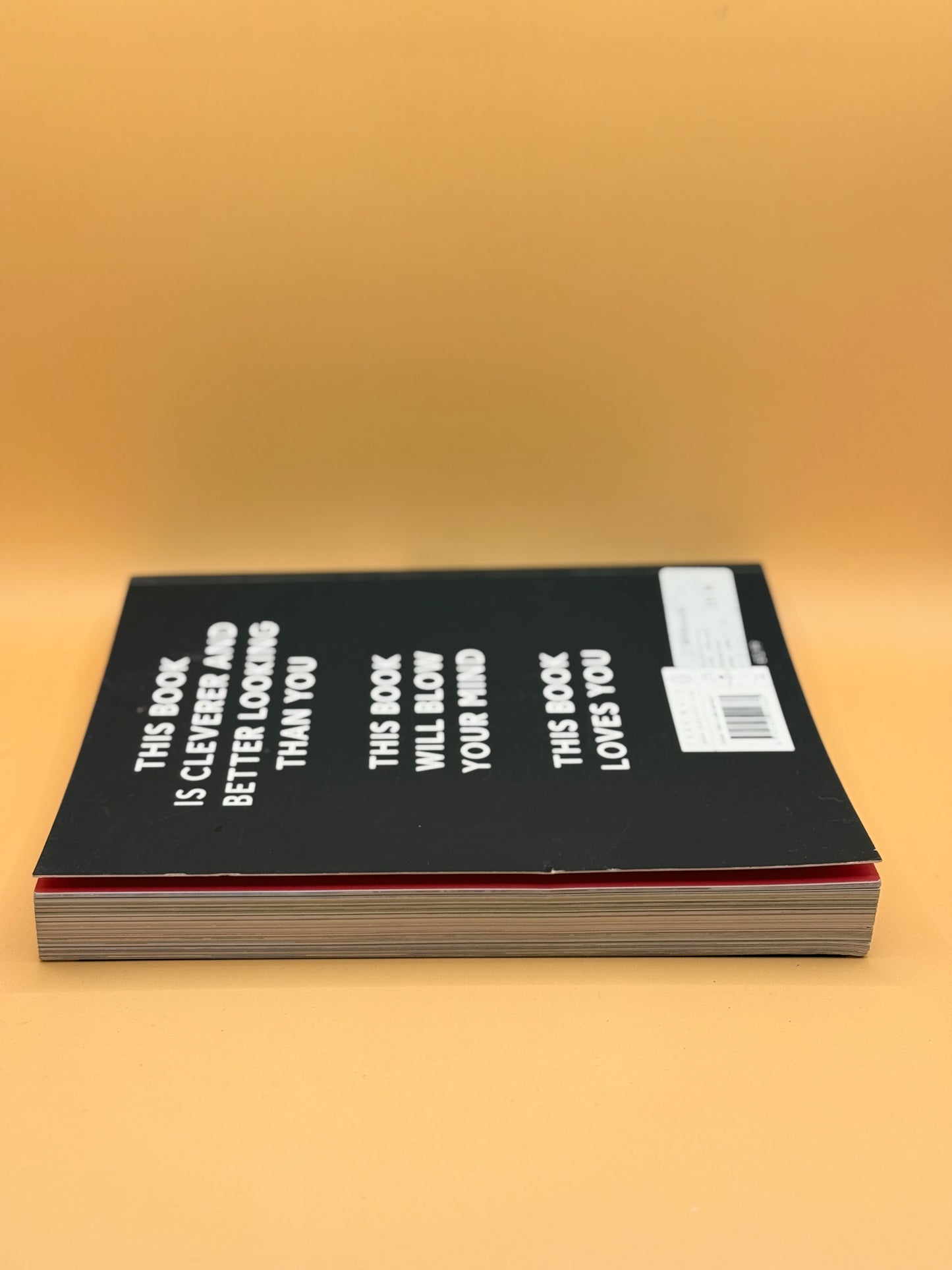 This Book Loves You by PewDiePie