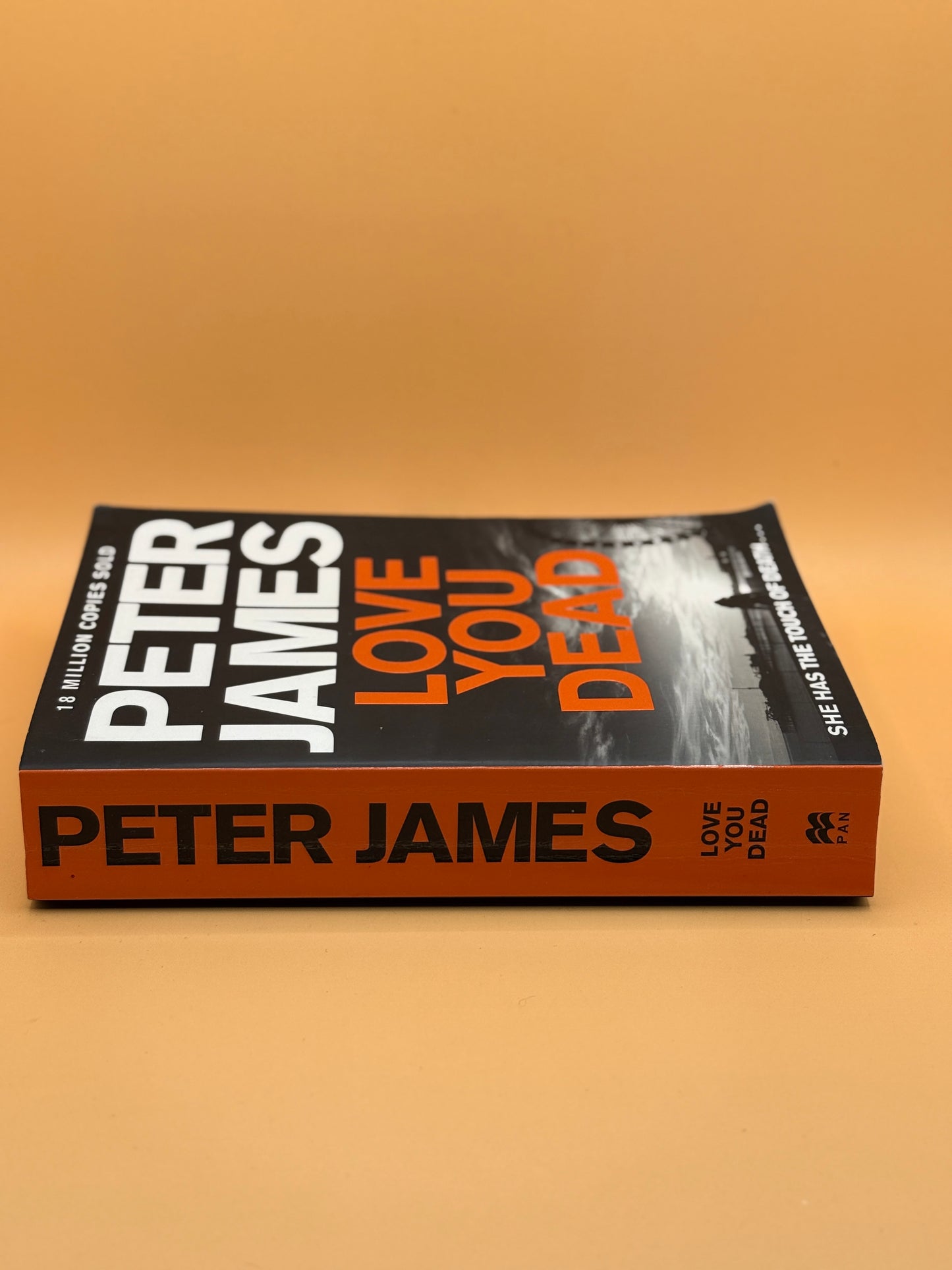 Love You Dead by Peter James