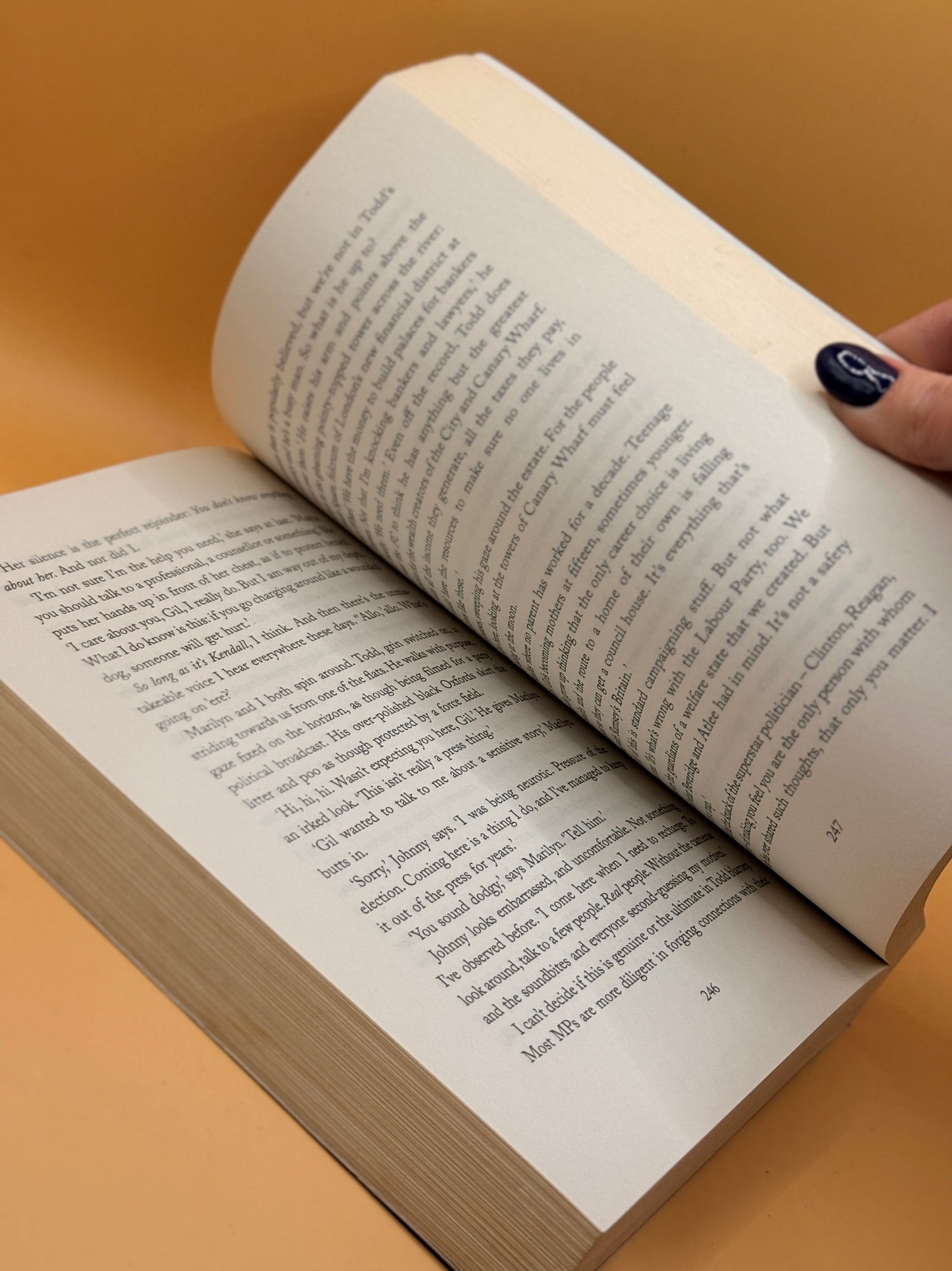 The Whistleblower by Robert Peston