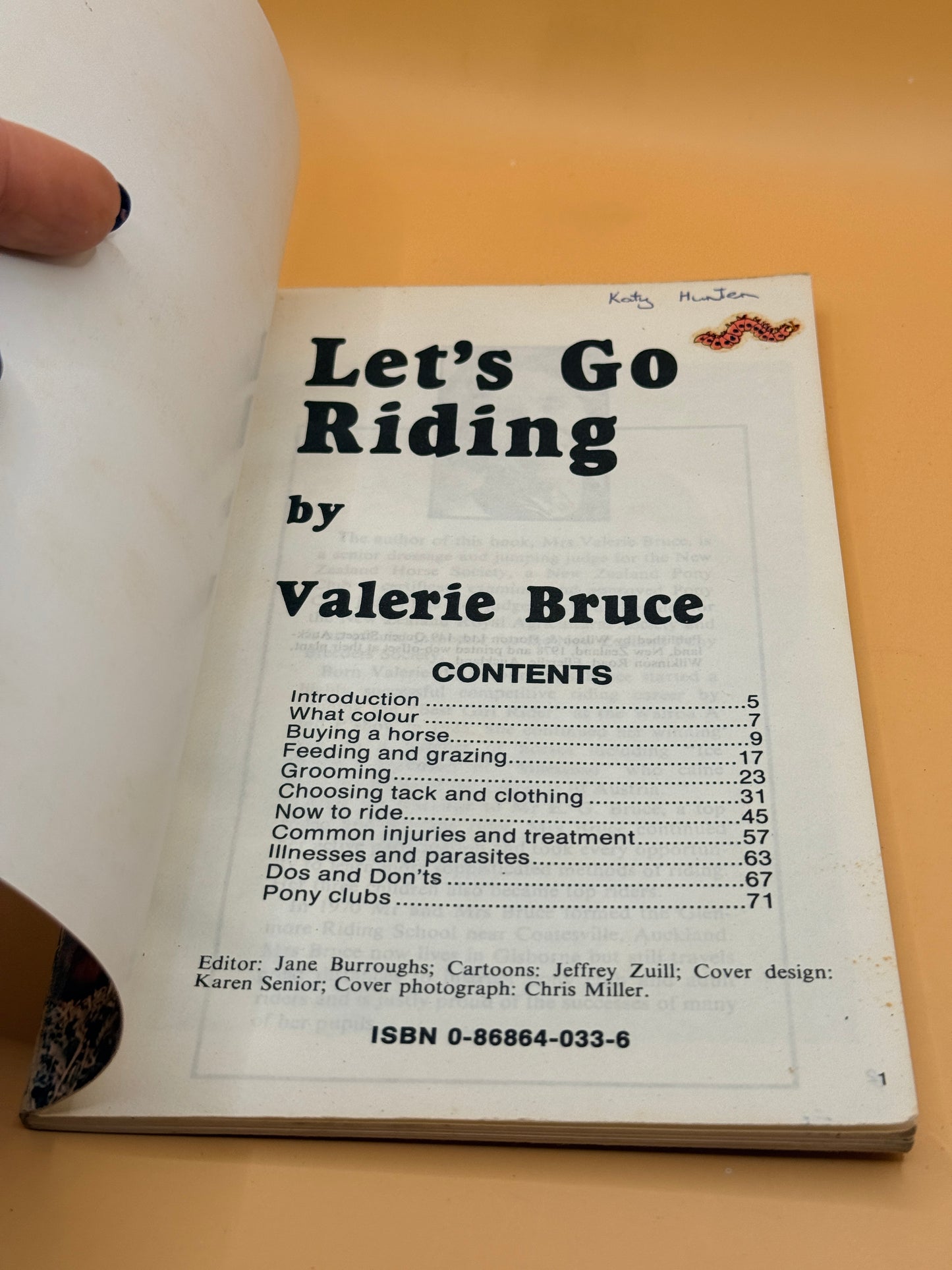 Let's Go Riding by Valerie Bruce