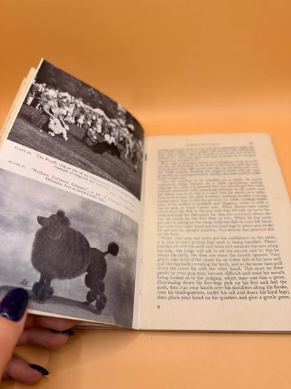 Vintage Foyles Handbook: Poodles by Margaret Rothery Sheldon and Barbara Lockwood (1957)