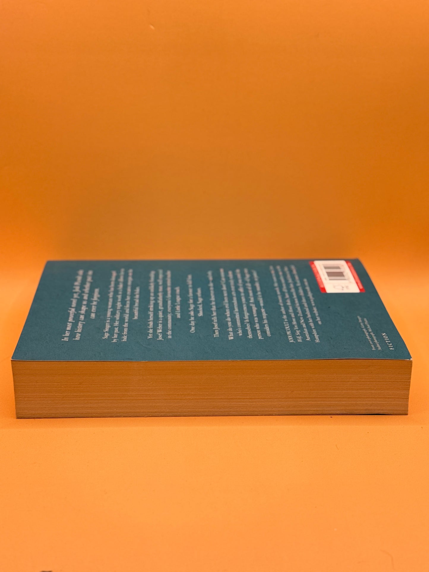The Storyteller by Jodi Picoult