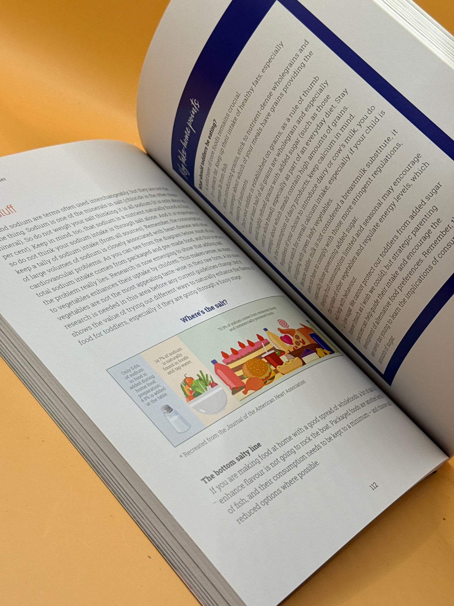 The Nourished Toddler by Dr Julie Bhosale