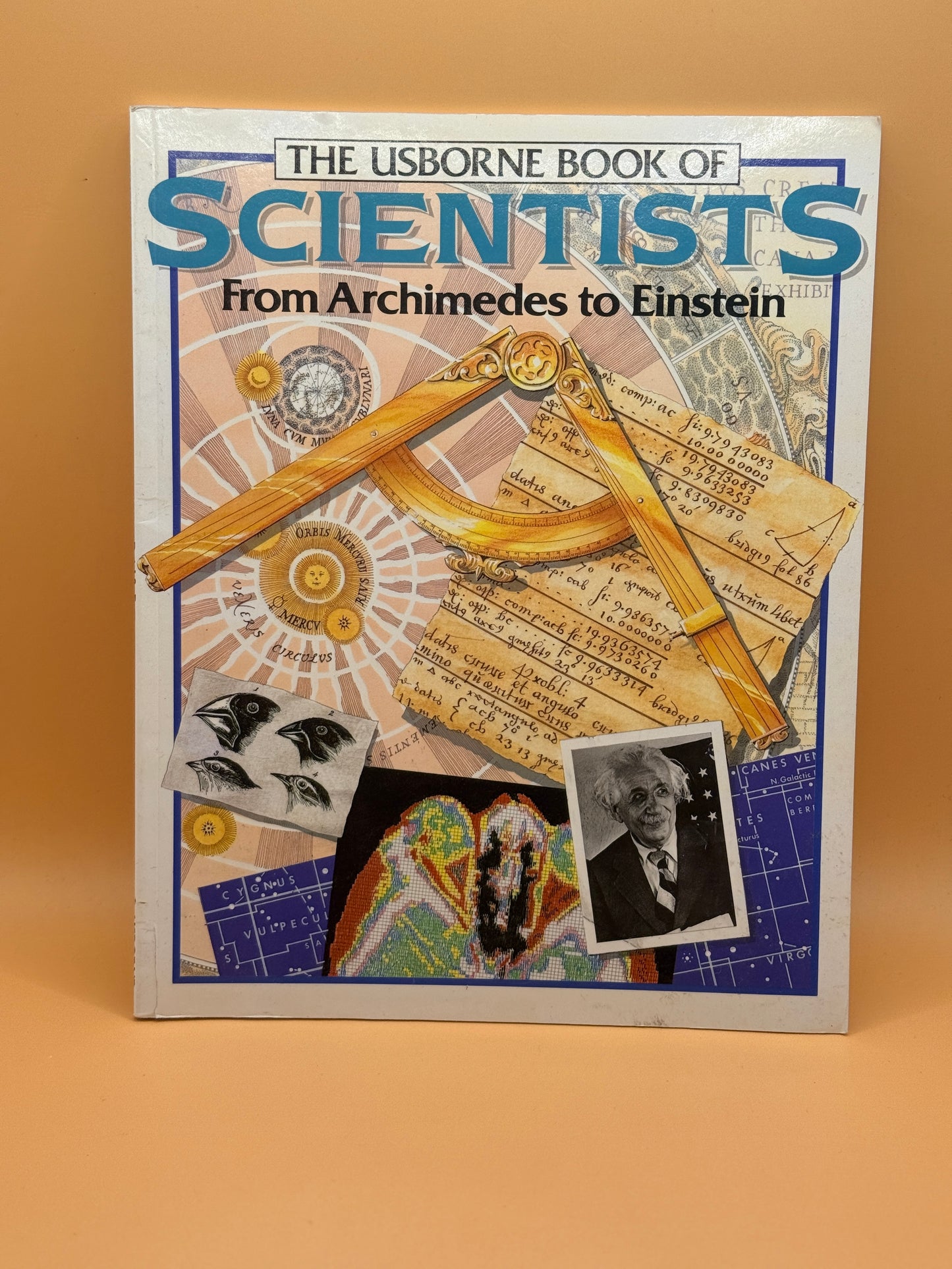 The Usborne Book of Scientists: From Archimedes to Einstein by Struan Reid and Patricia Fara