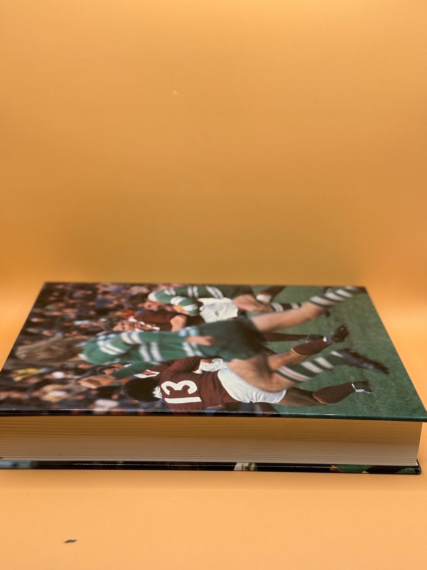 The Encyclopedia of New Zealand Rugby by R. H. Chester and N. A. C. McMillan (1981)