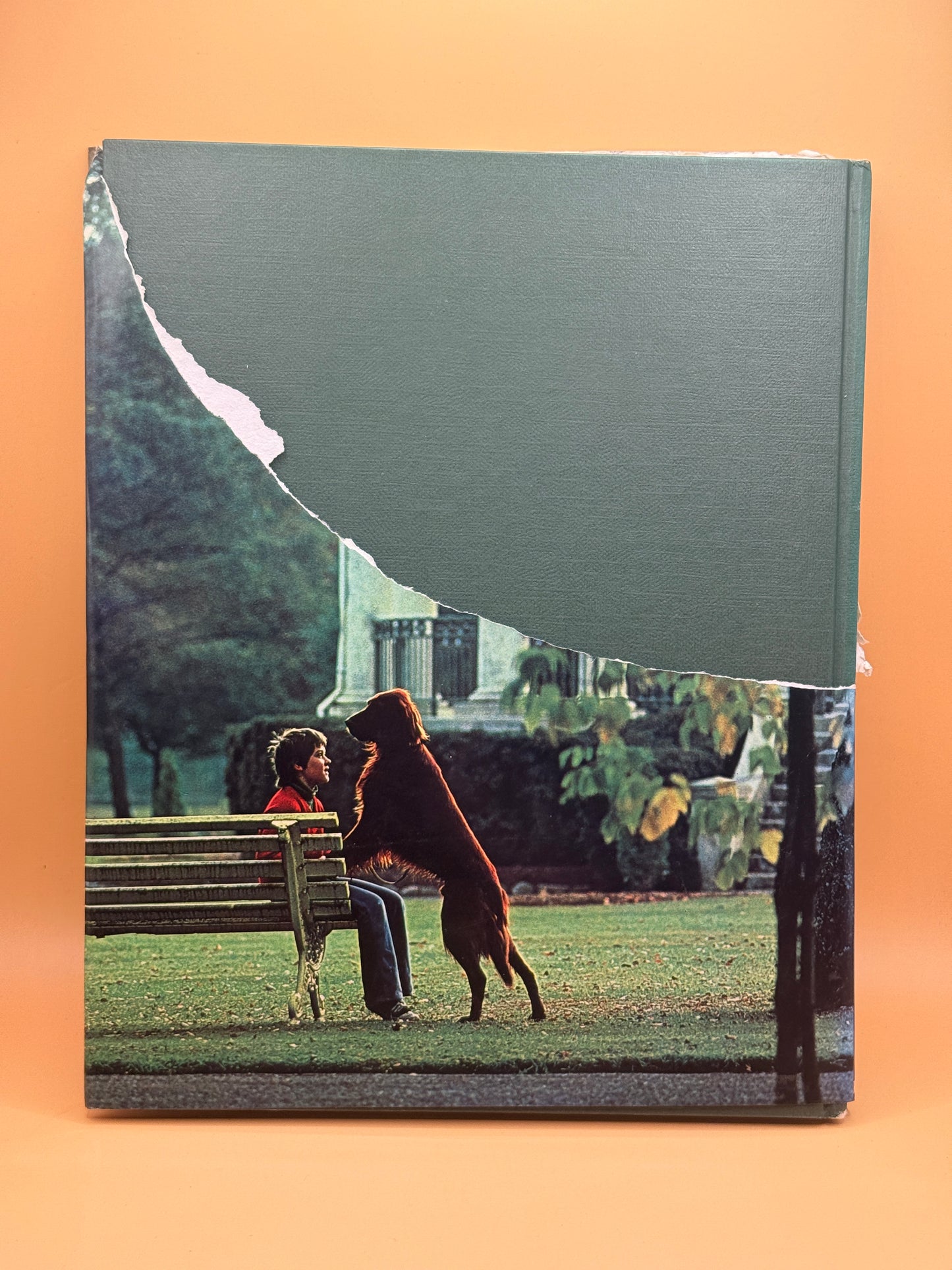 Southland in Colour by Arnold S. Miller